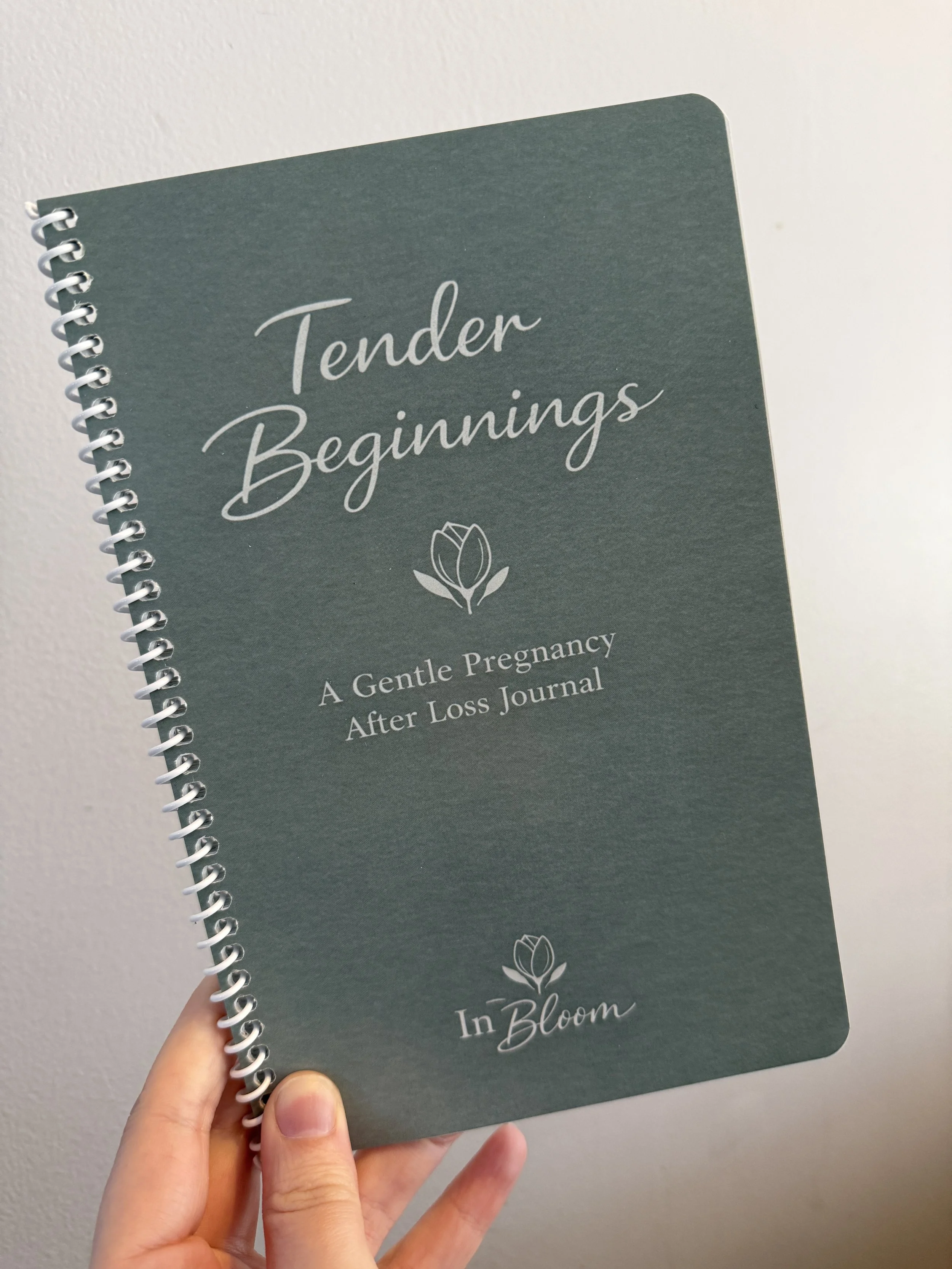 journal contest.jpeg