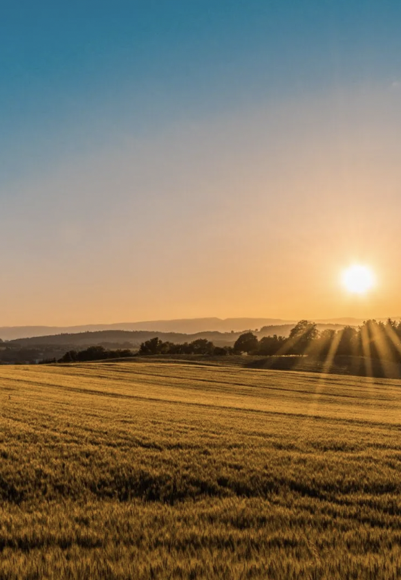 Screen Shot 2023-05-22 at 11.14.23 AM.png