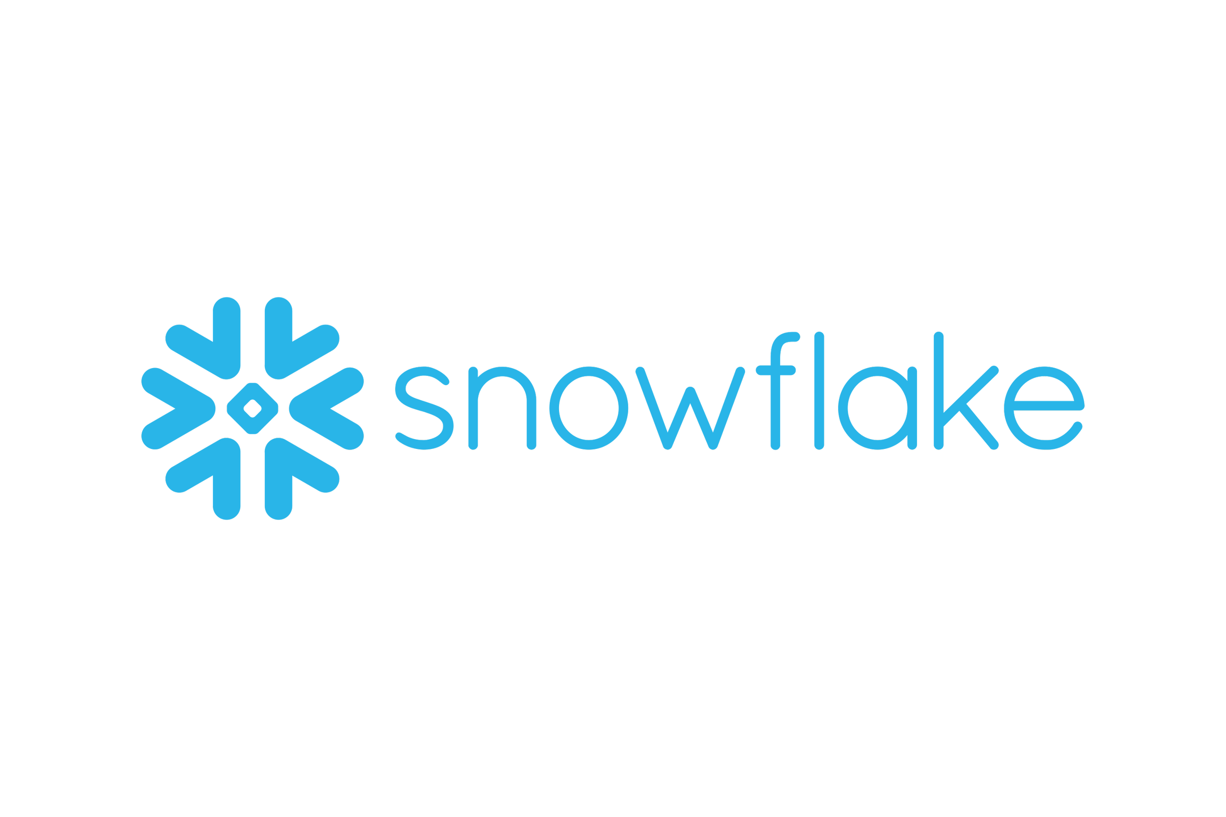 Snowflake_Inc.-Logo.wine.png