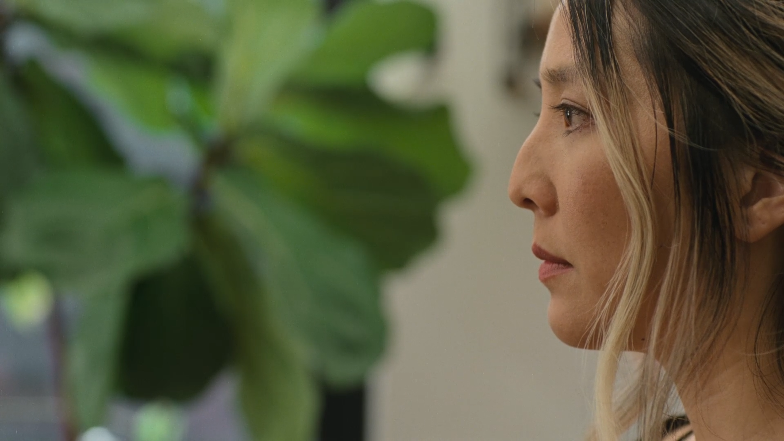 Ladders Images20.png