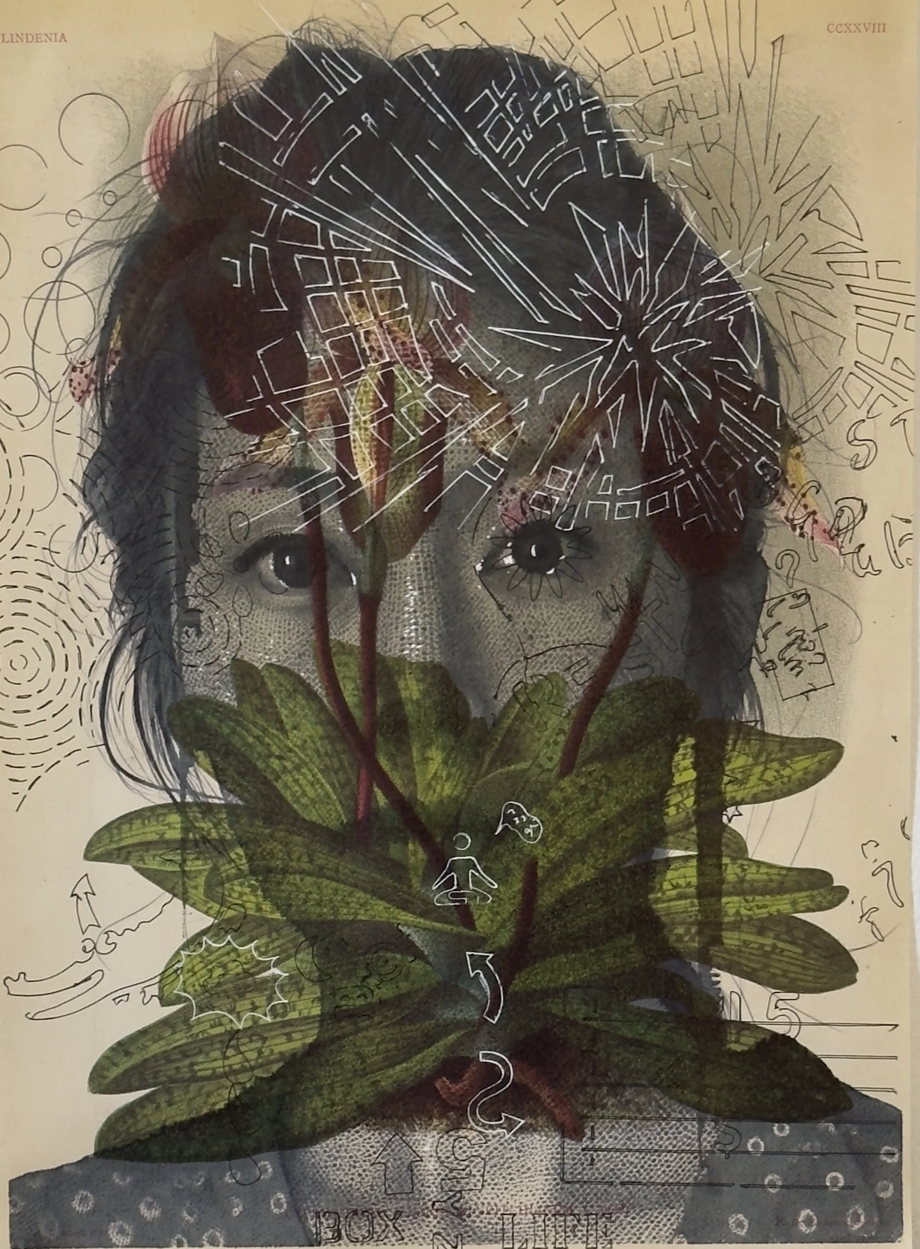 TMO, 2026, Inkjet print and pen on printed paper from a 1992 botanical publication. 13 x 8.25 in.