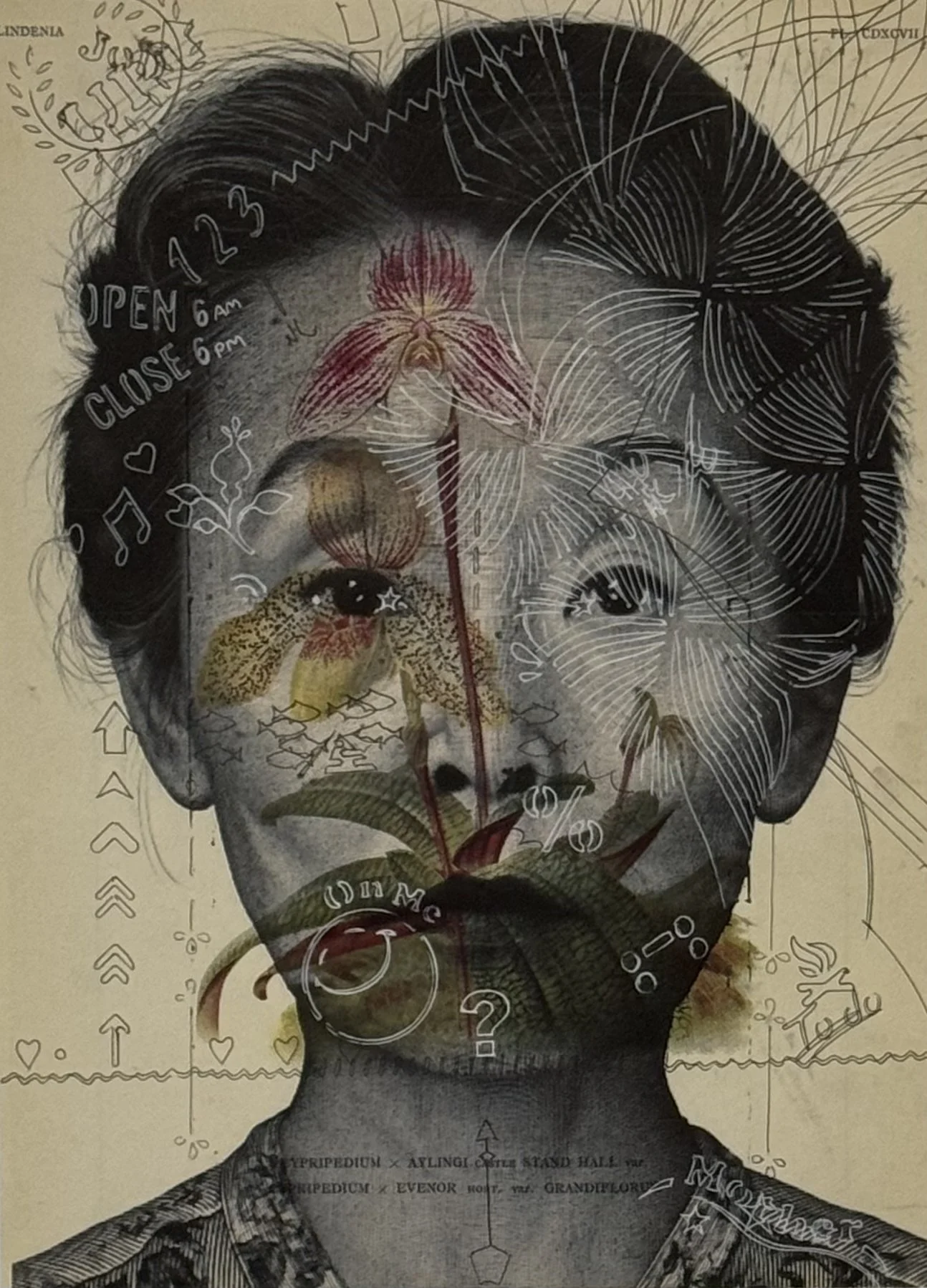 Hyae Ok J/Cypripedium, 2026, Inkjet print and pen on printed paper from a 1992 botanical publication. 13 x 8.25 in.