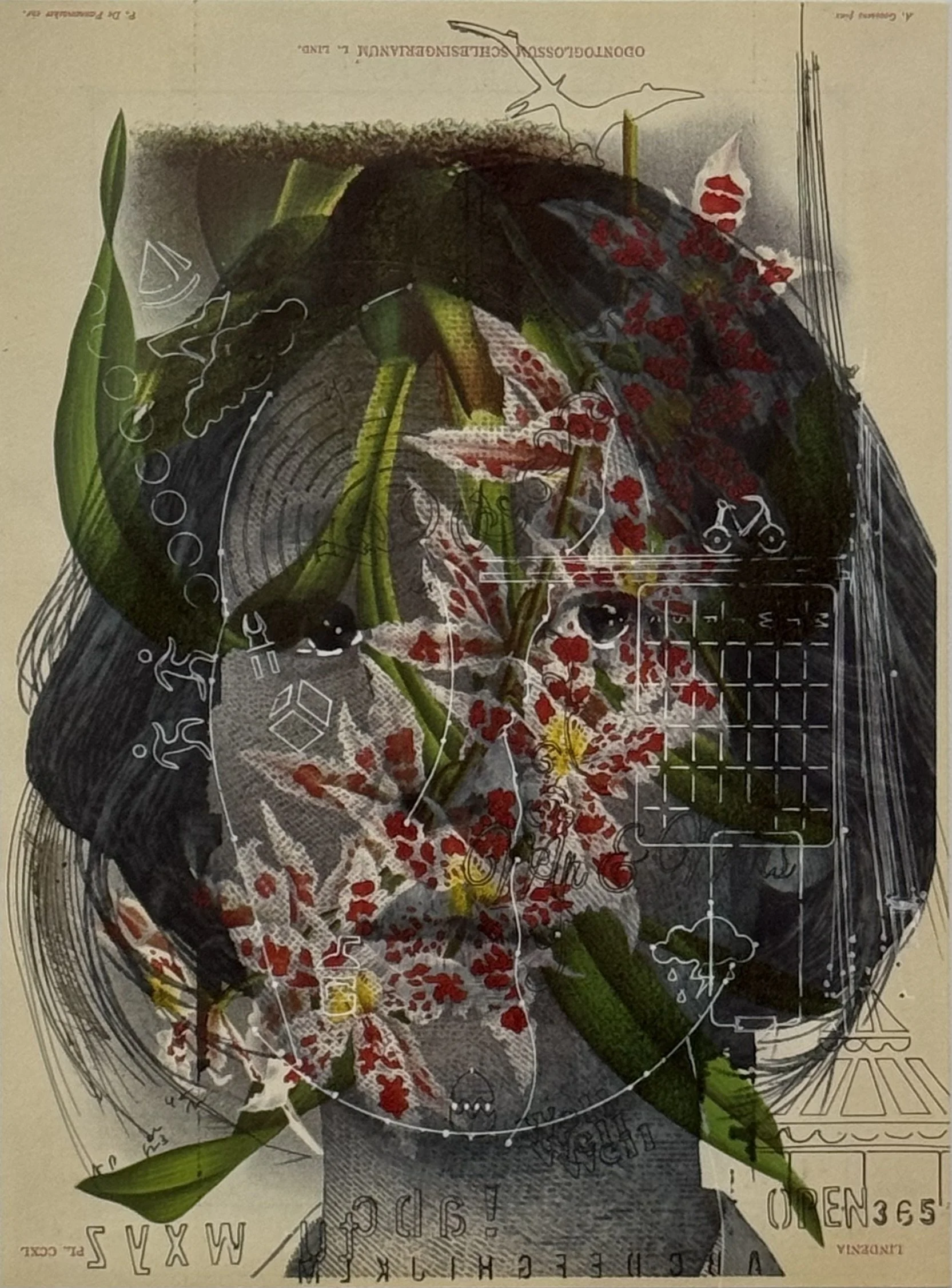 YH/Odontoglossum, 2026, Inkjet print and pen on printed paper from a 1992 botanical publication. 13 x 8.25 in.