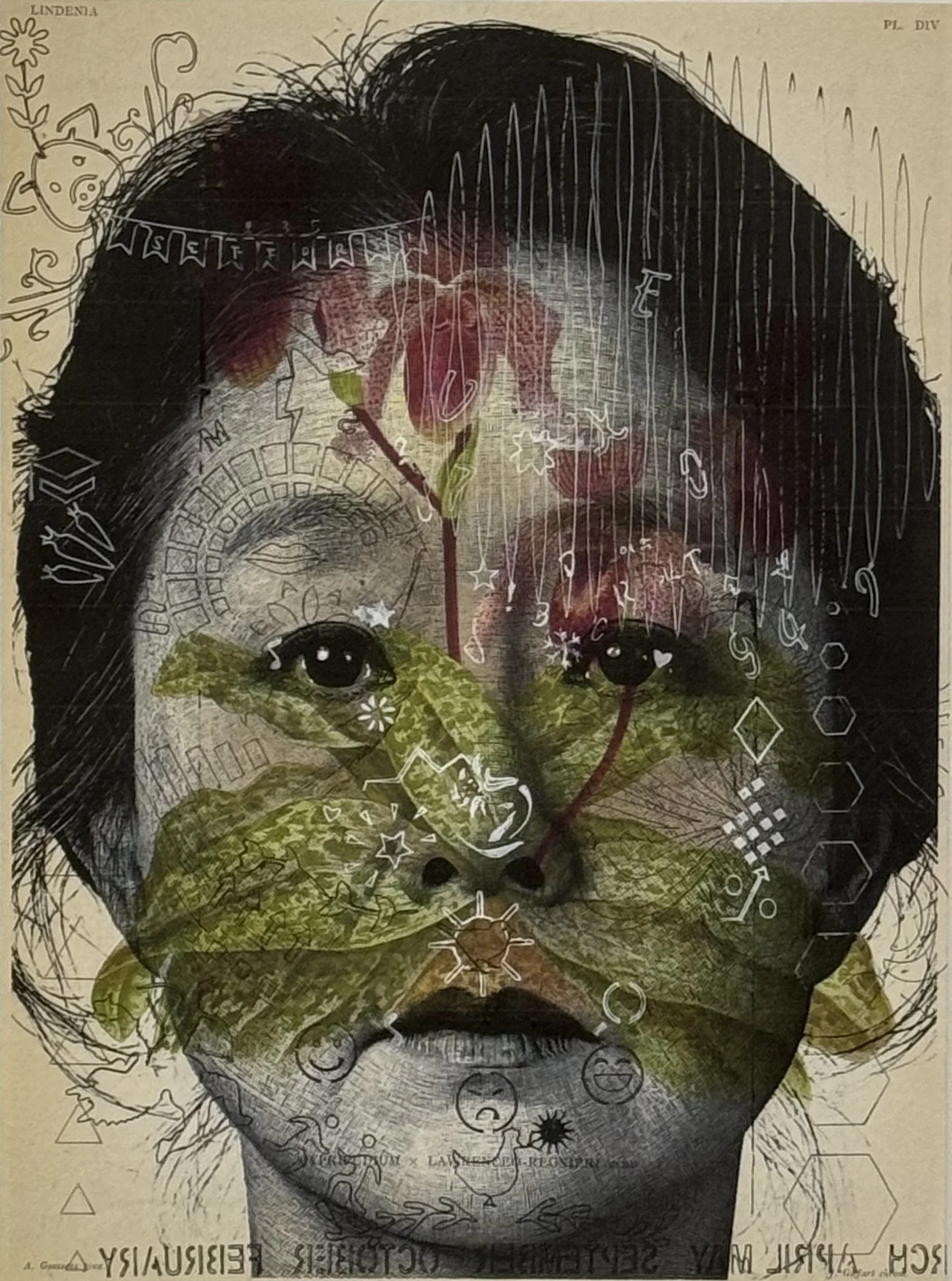 Joanna/Laelio, 2026, Inkjet print and pen on printed paper from a 1992 botanical publication. 13 x 8.25 in.