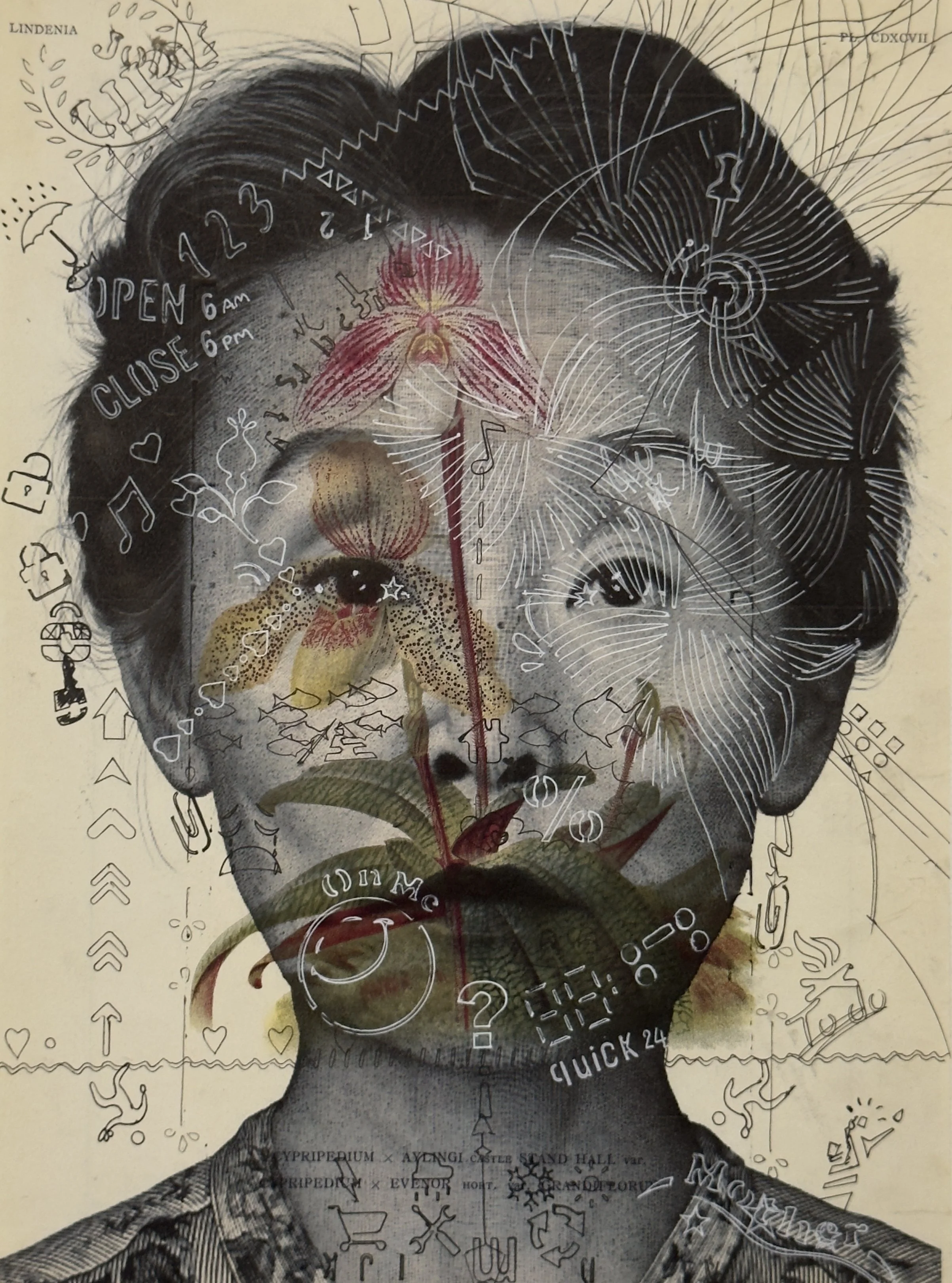 Hyae Ok J/Cypripedium, 2026, Inkjet print and pen on printed paper from a 1992 botanical publication. 13 x 8.25 in.