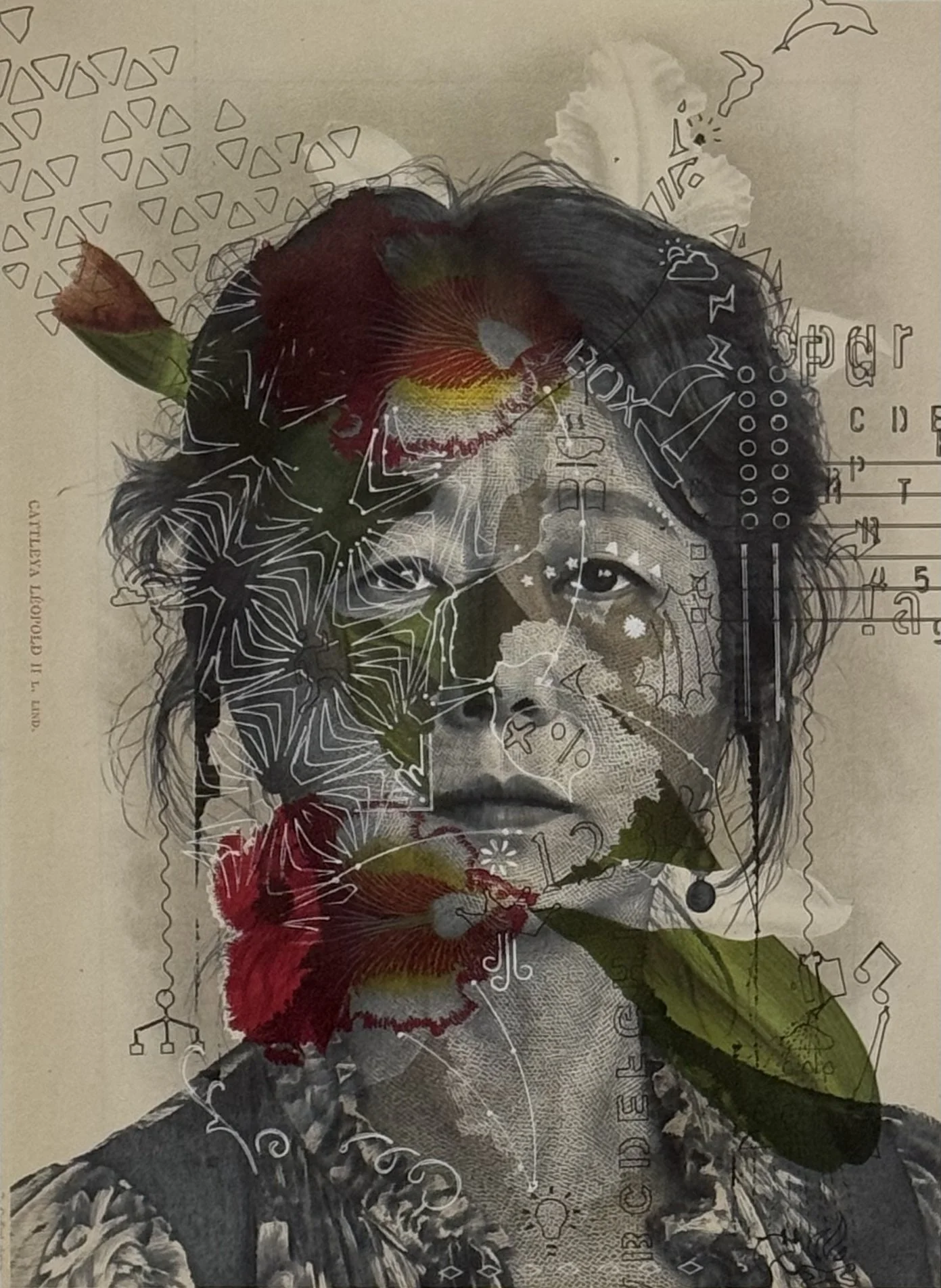 CF/Masdevallia, 2026, Inkjet print and pen on printed paper from a 1992 botanical publication. 13 x 8.25 in.