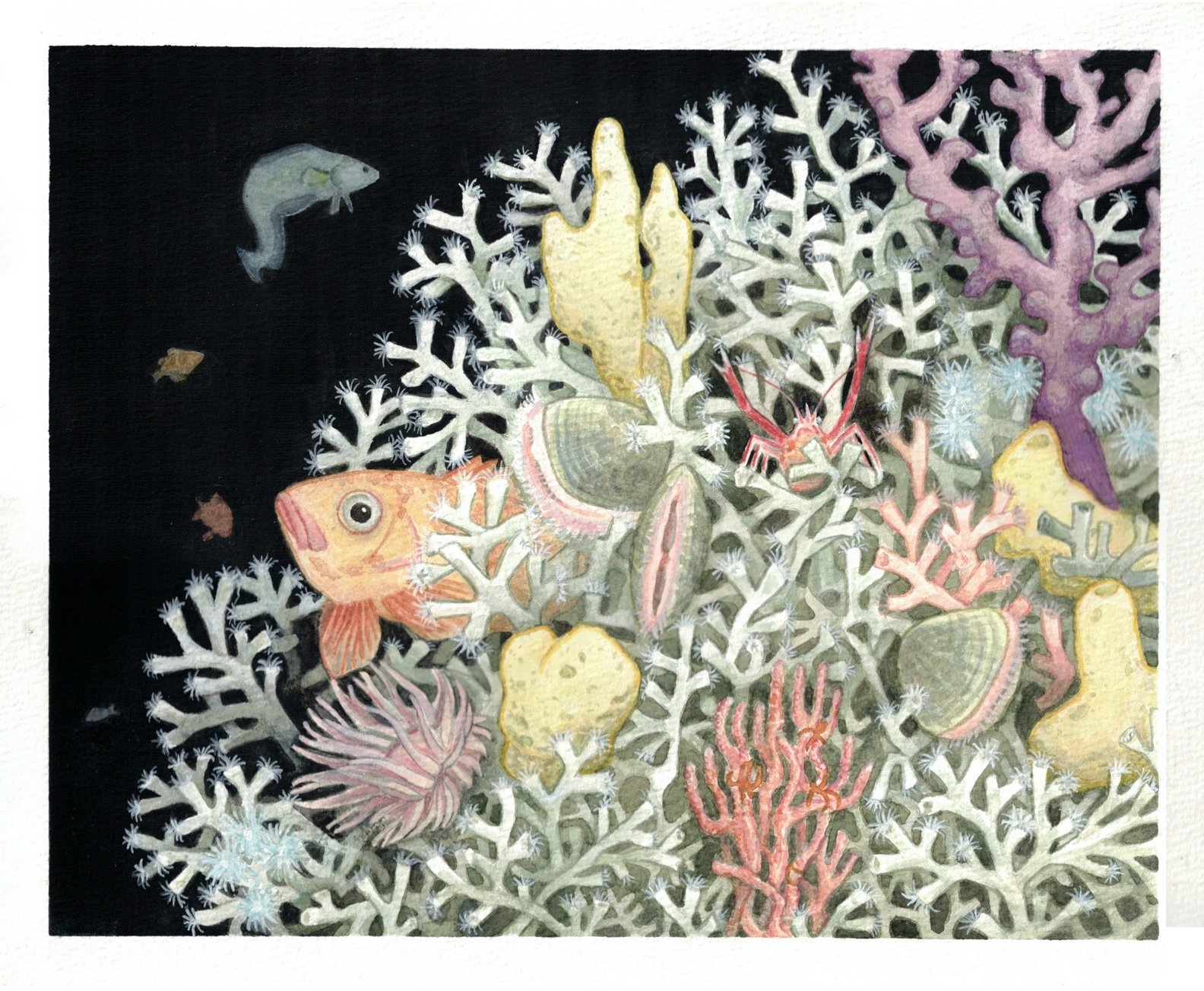 Nature Illustration & Art