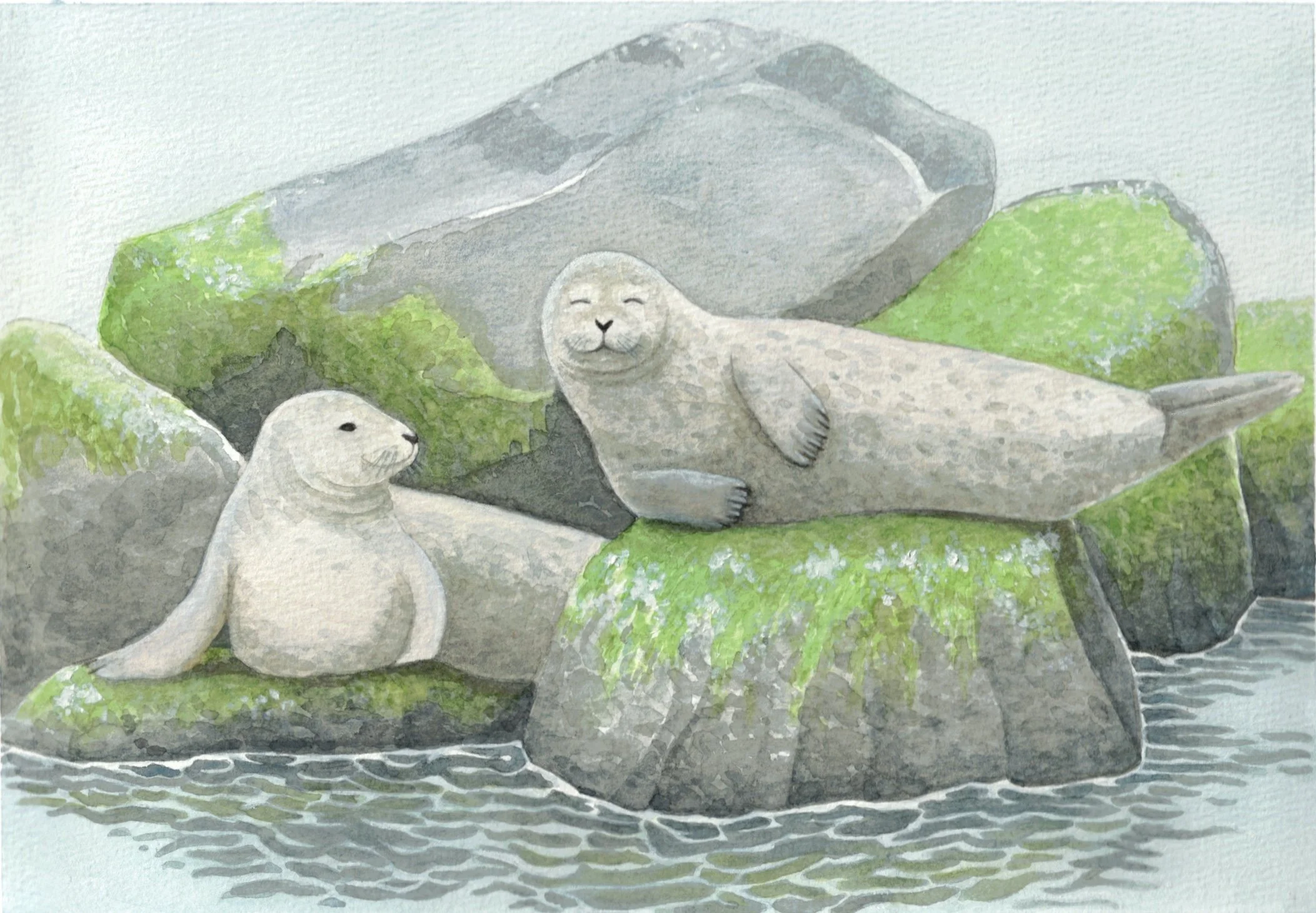 HW 4_marine mammals_MEP copy.jpg