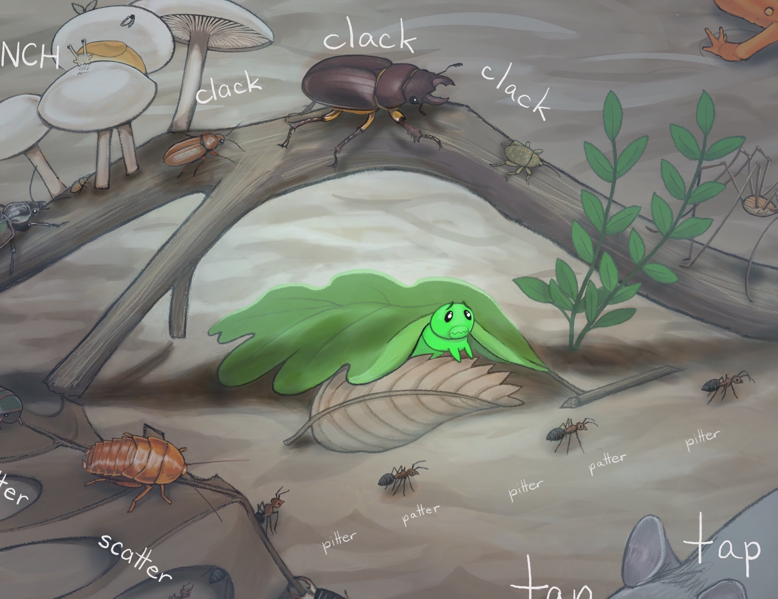 caterpillar.jpg