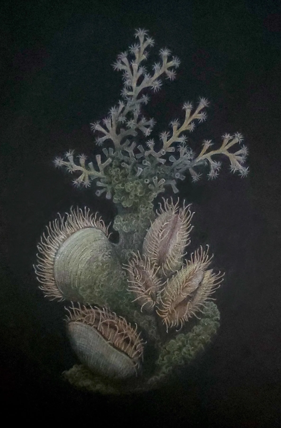 Untitled_Artwork copy 5.jpg