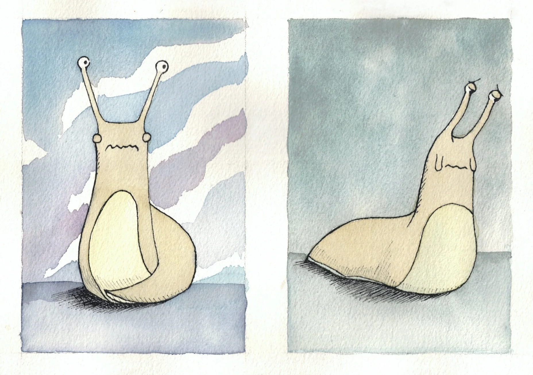 slugs2.jpg