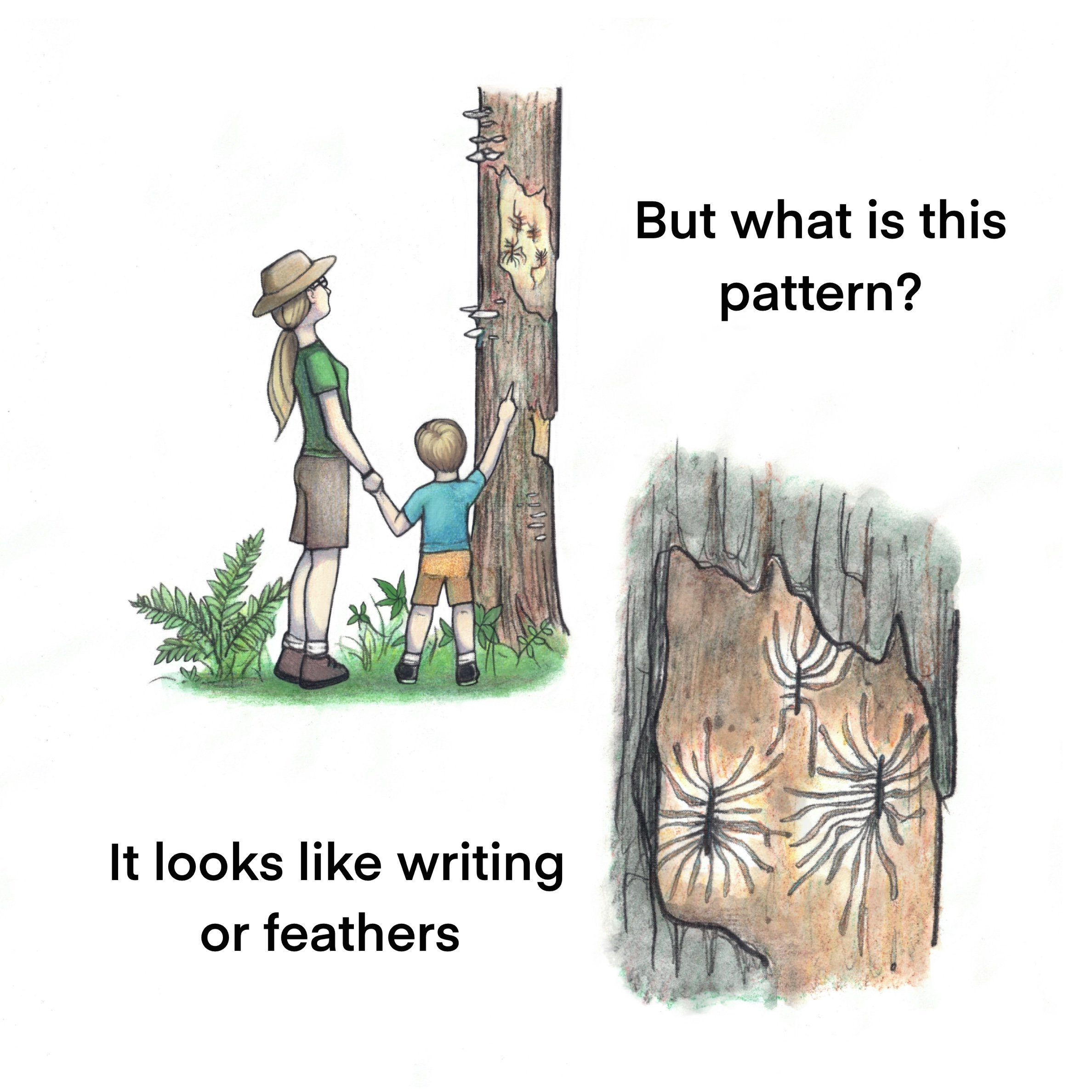 Pg_18.jpg