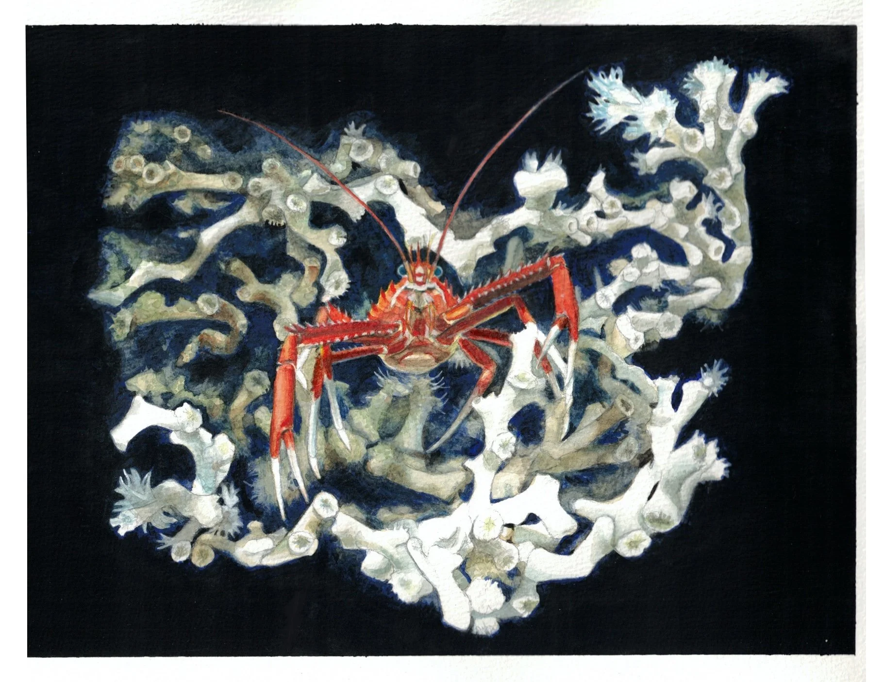 HW week 2_MEP copy.jpg