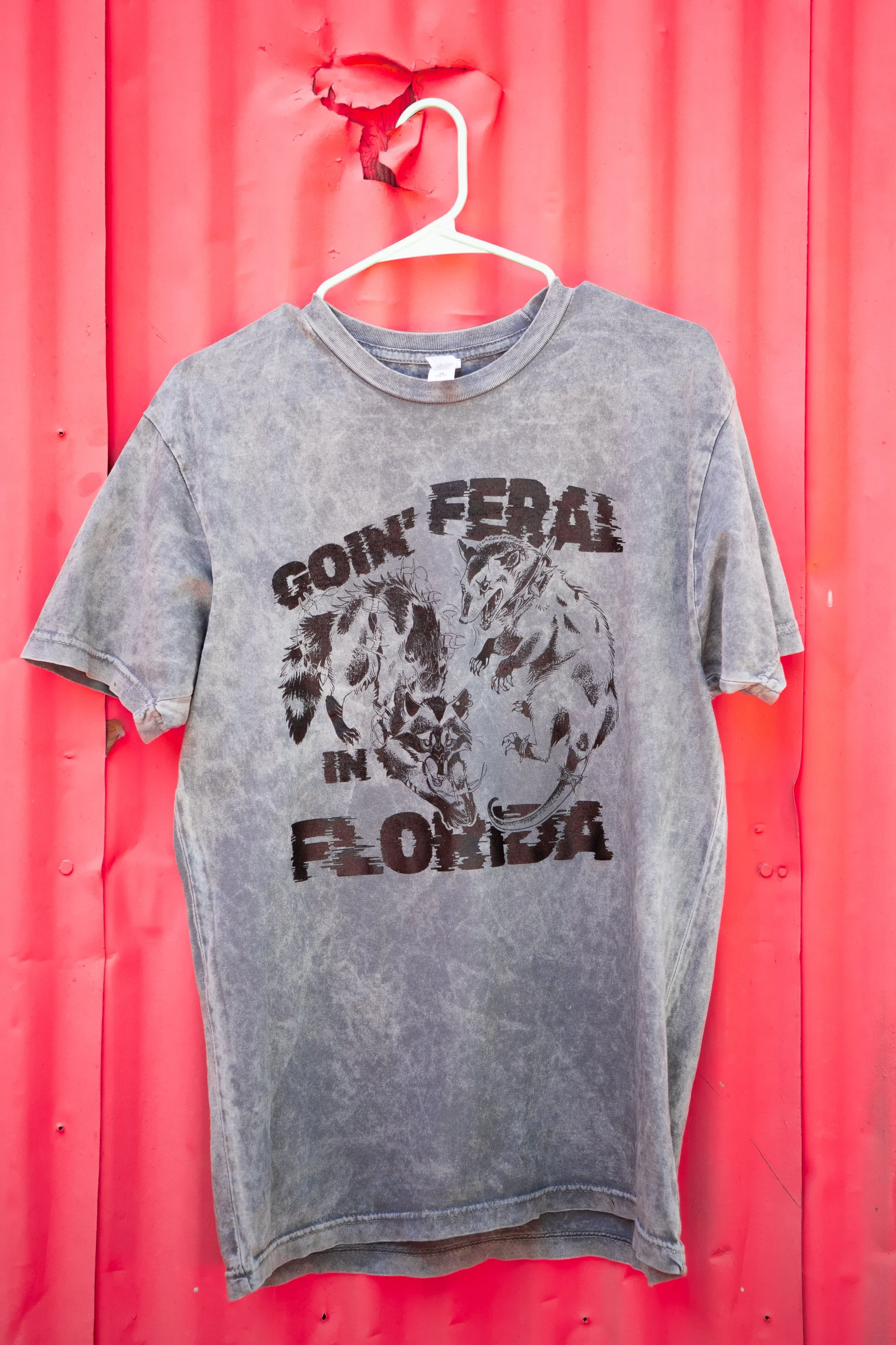 Goin' Feral in Florida