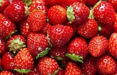 Beacon Strawberry Festival