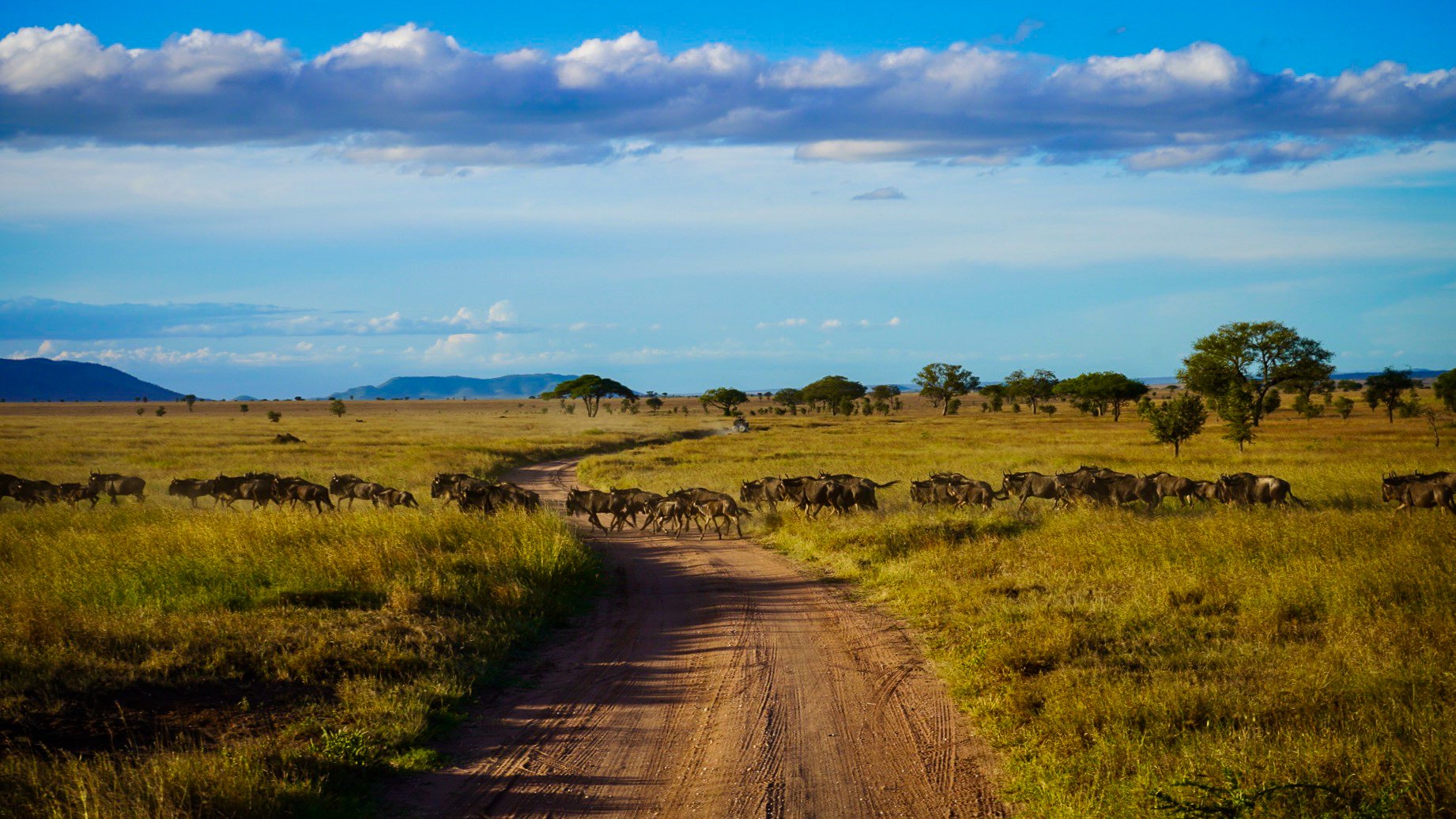 Serengeti National Park - Tanzania