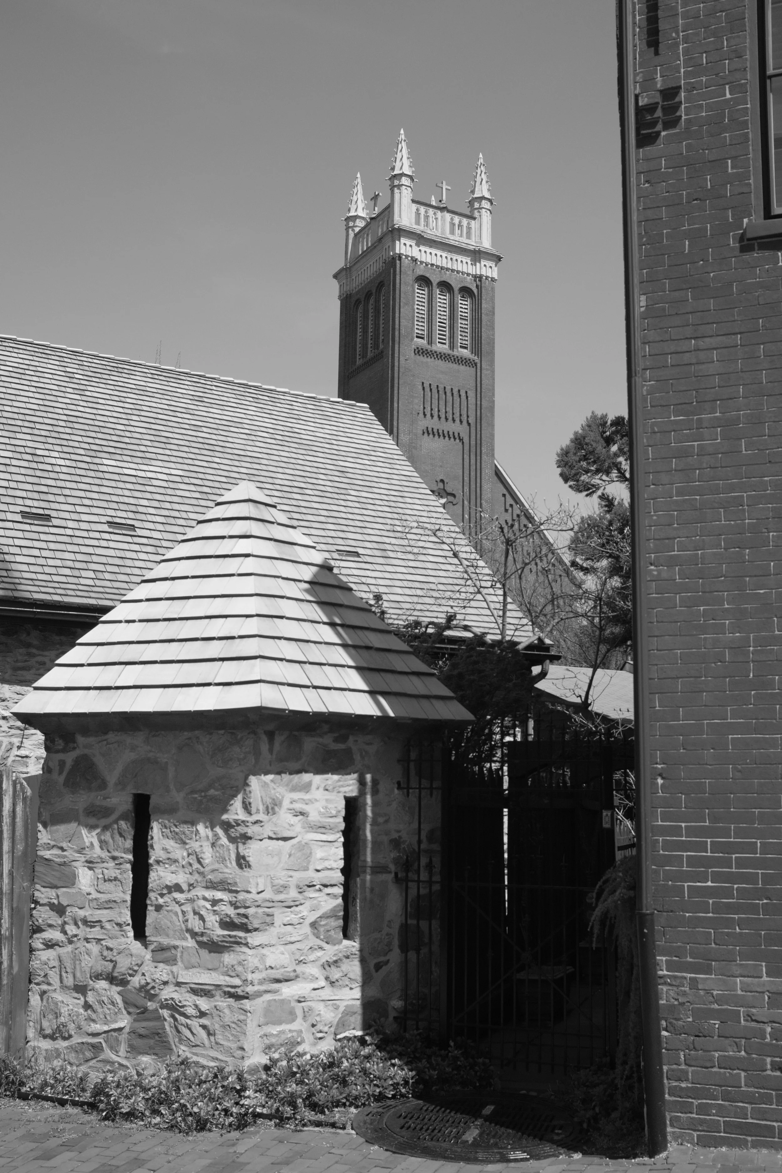 DSCF0348.jpg
