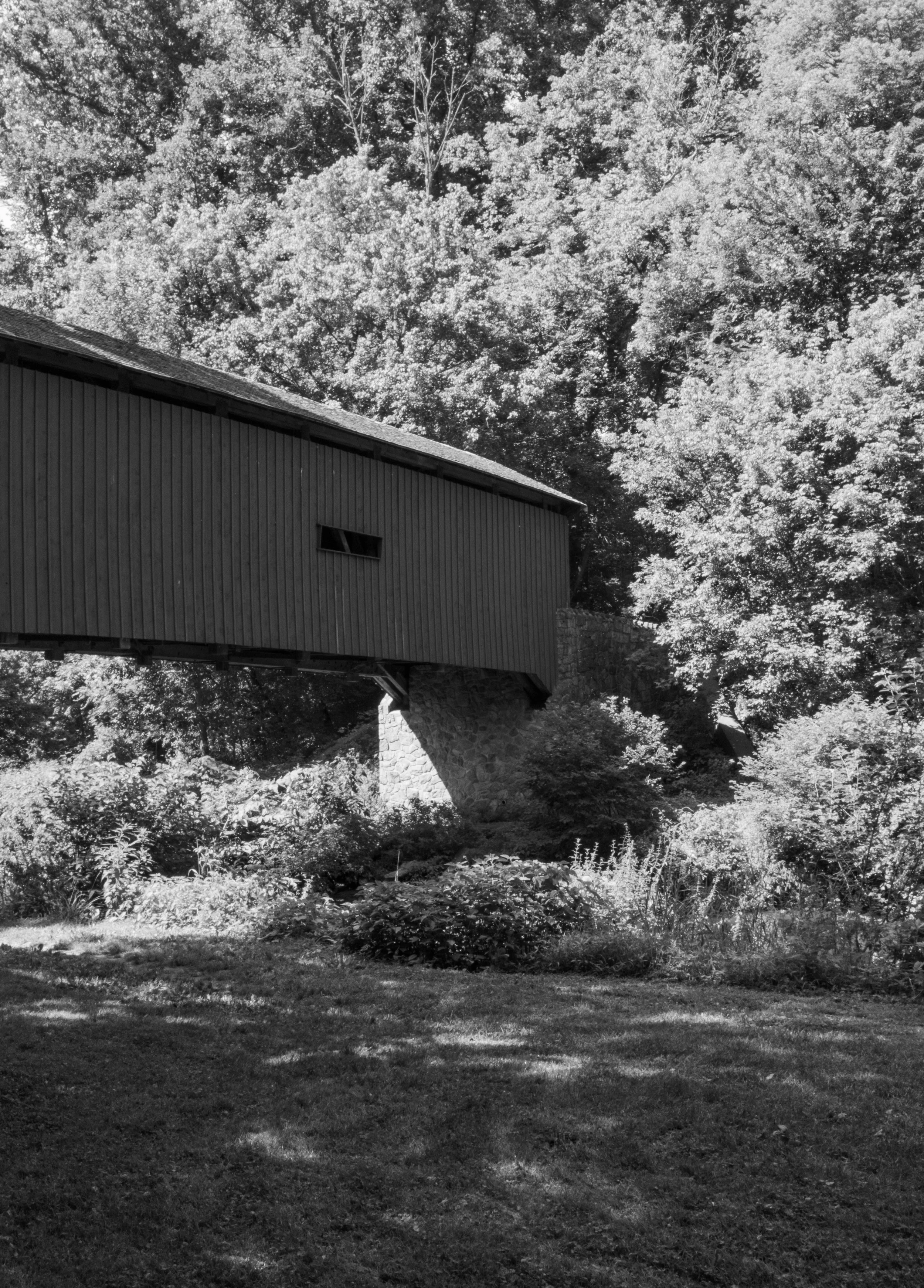DSCF0799.jpg