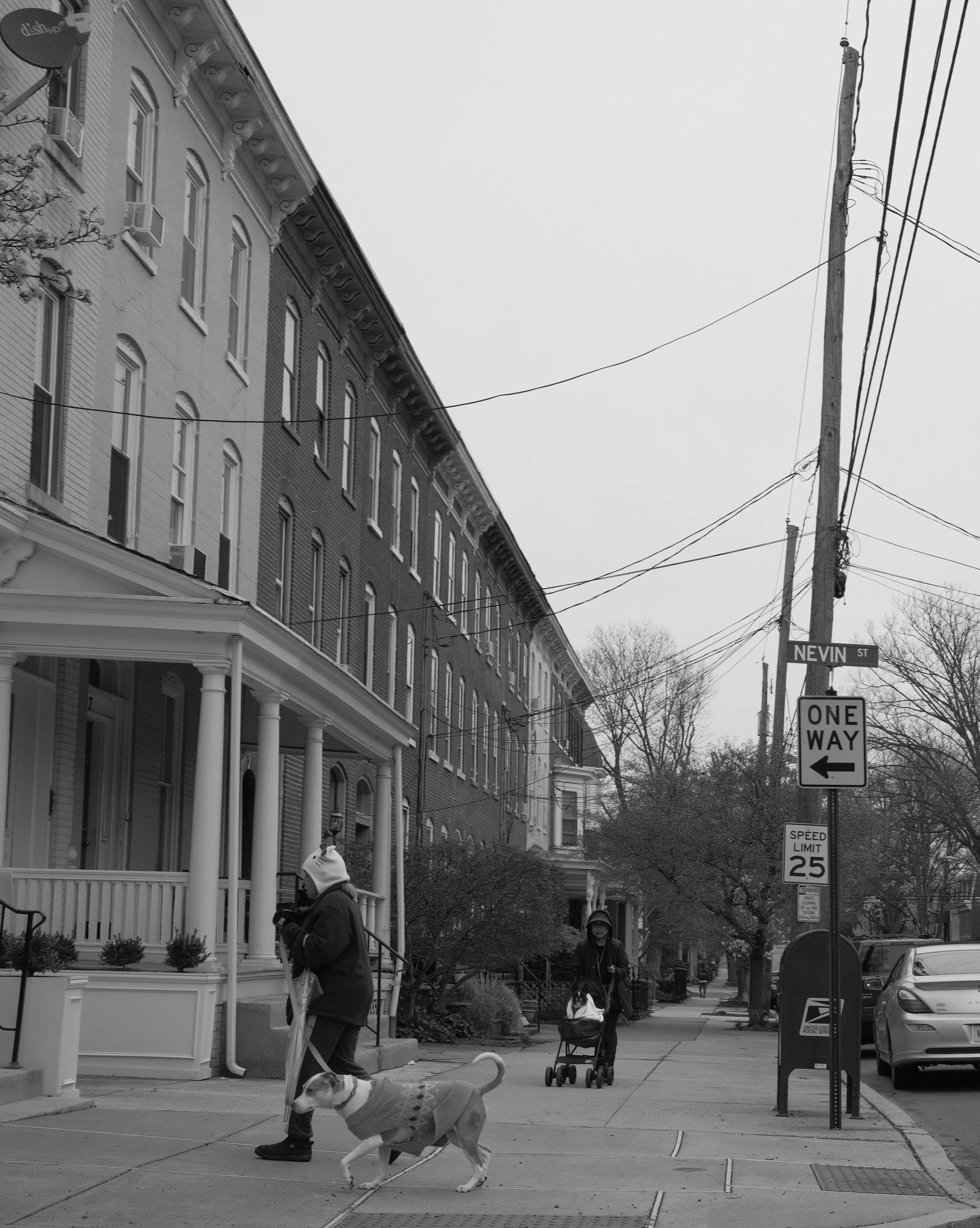 DSCF0040.jpg