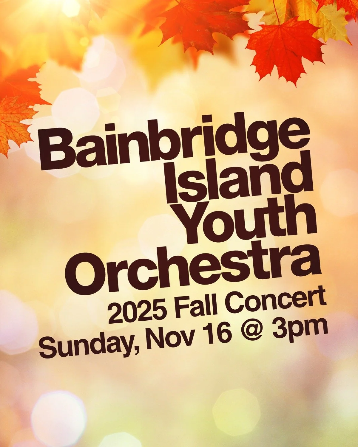 Bainbridge Island Youth Orchestra 2025 Fall Concert