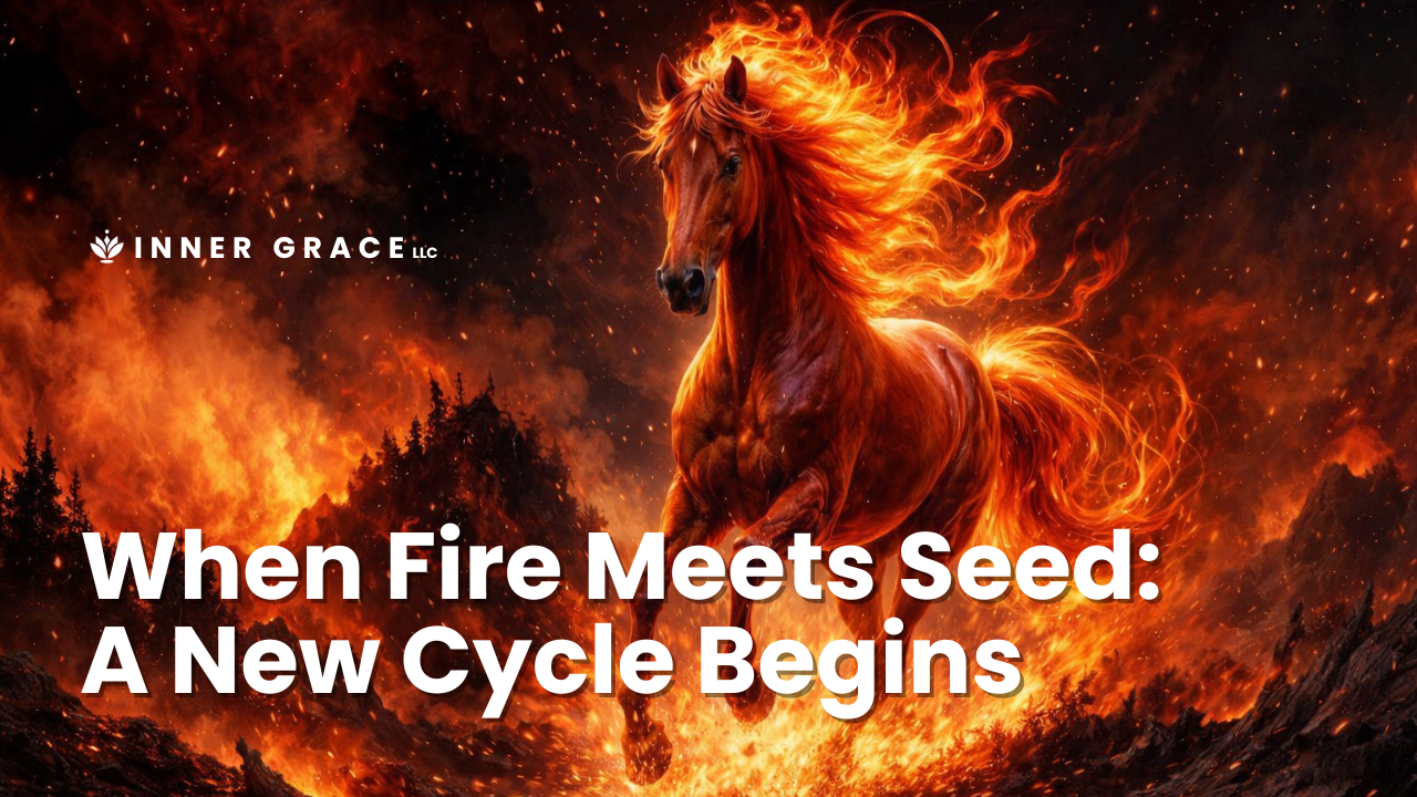 When Fire Meets Seed: A New Cycle Begins