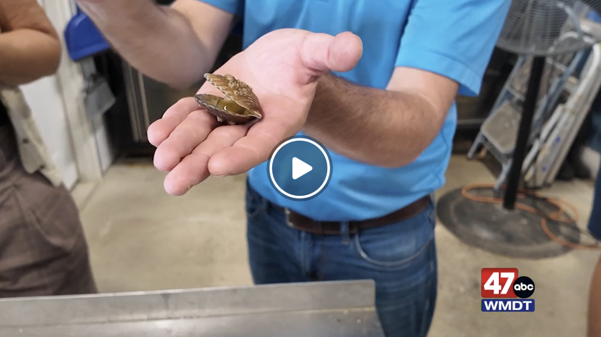 Maryland’s Coastal Shellfish Debuts It’s Own Brand
