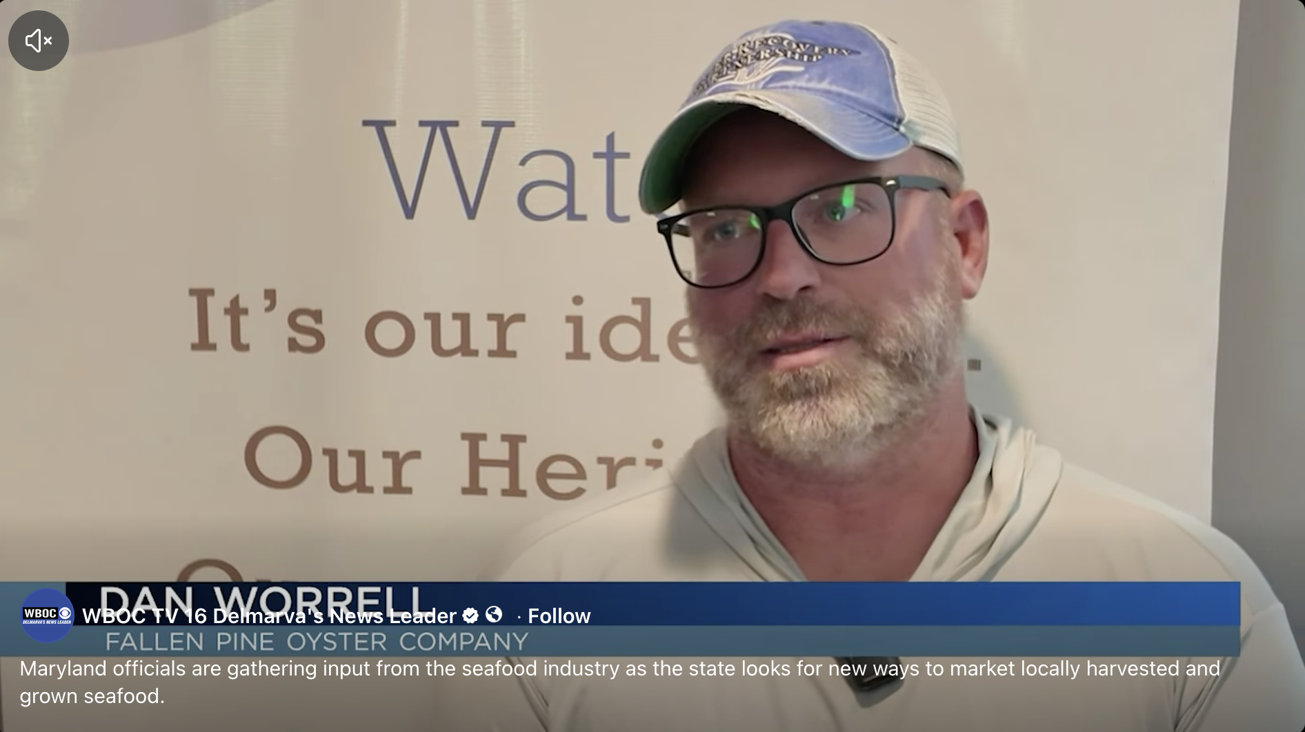 Maryland officials are gathering input from the seafood industry