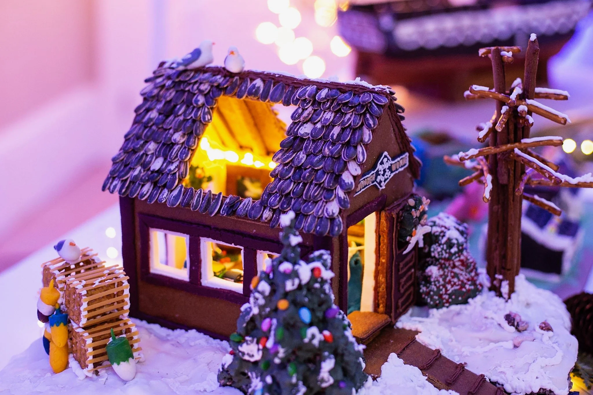 PGF 2025 credit Barbara Dowd (24).jpeg