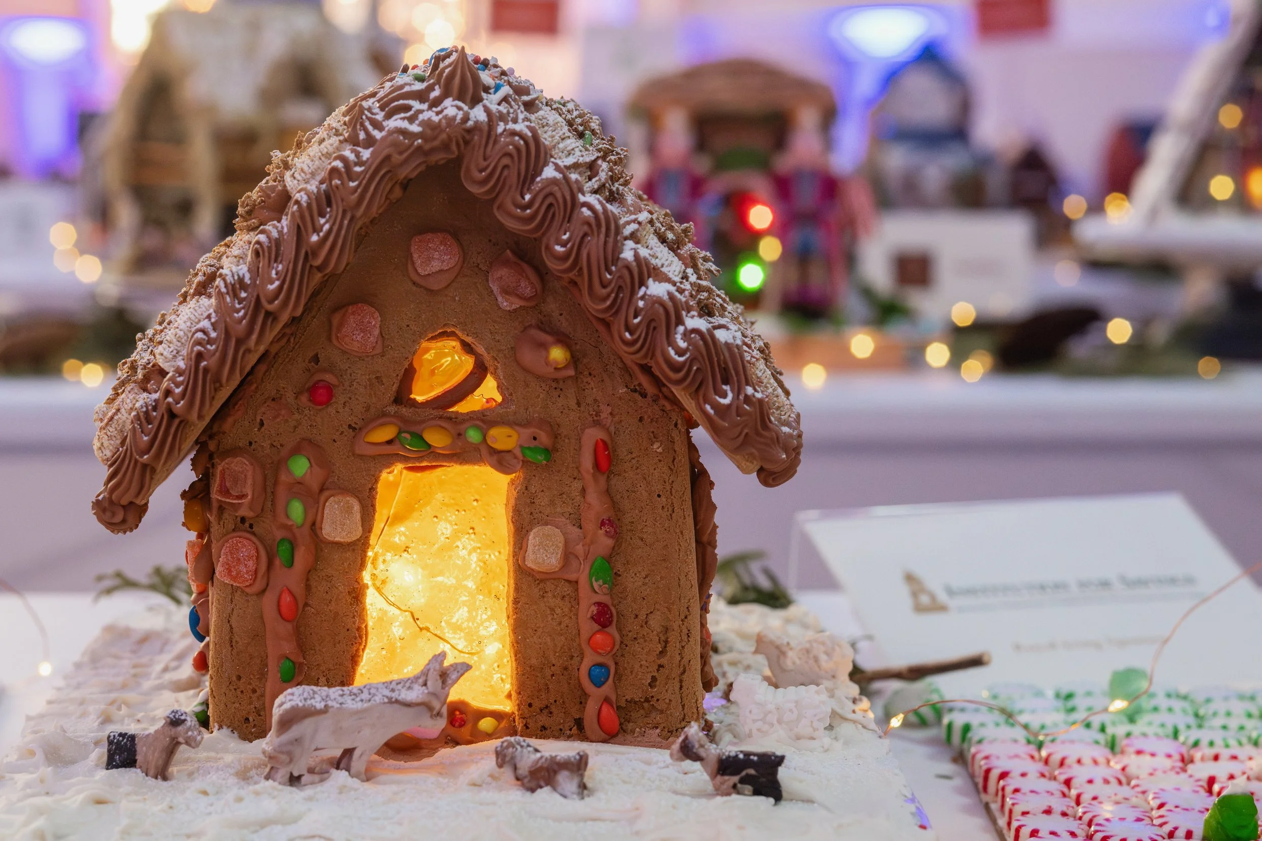 PGF 2025 credit Menka Belgal Photography (22).jpeg