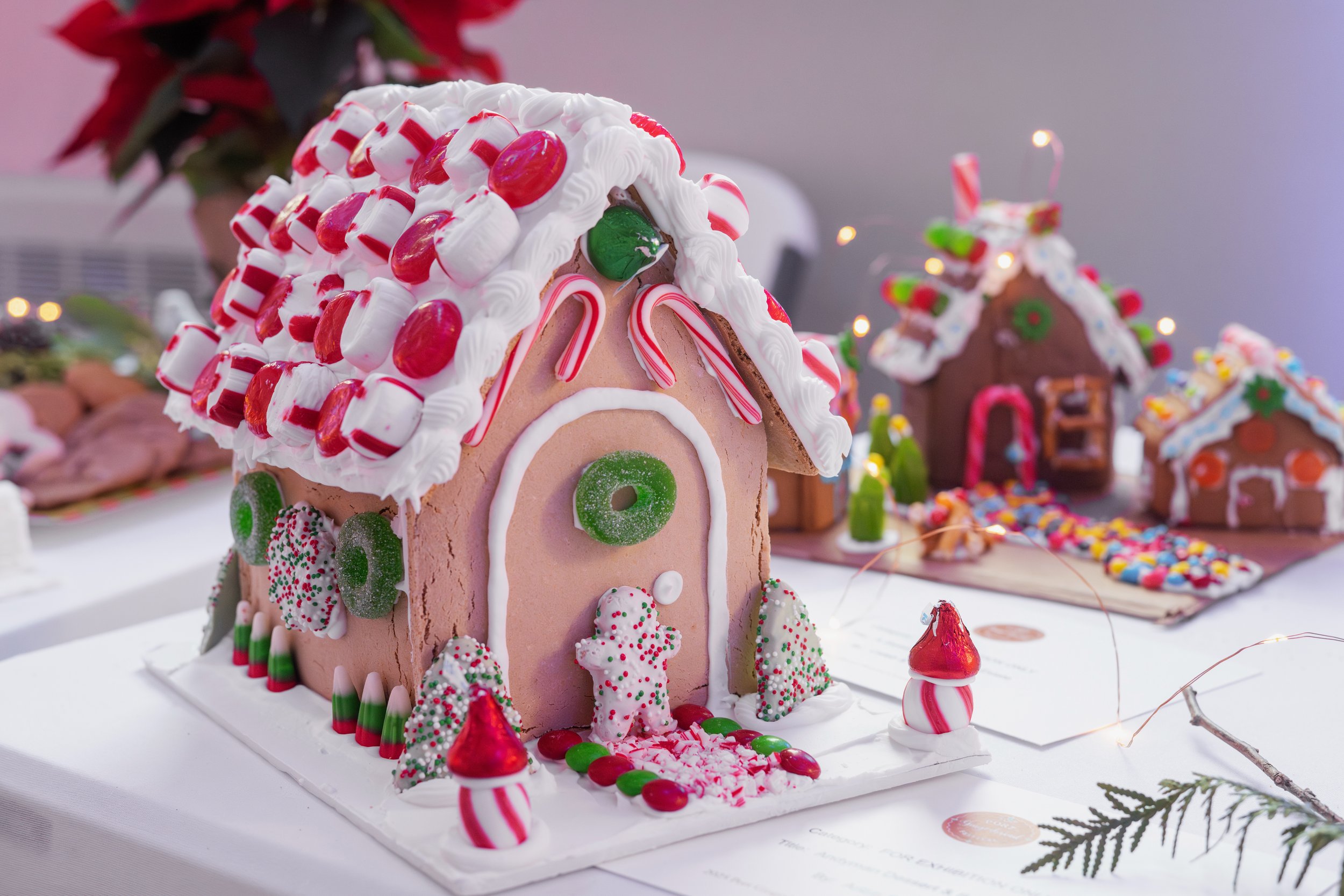 PGF 2025 credit Menka Belgal Photography (31).jpeg