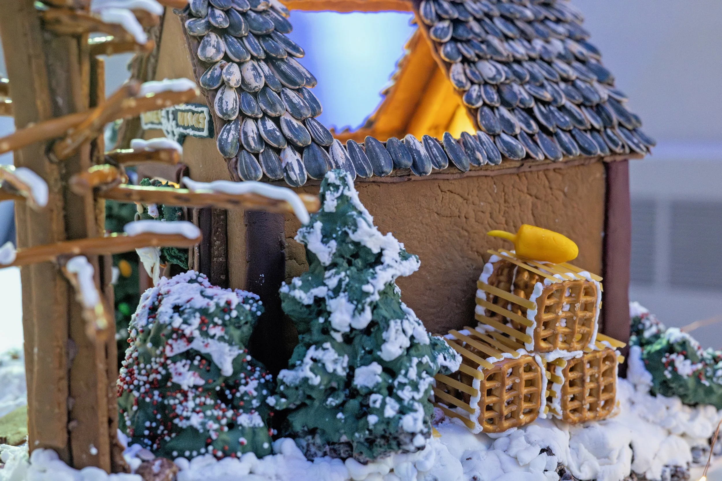 PGF 2025 credit Menka Belgal Photography (59).jpeg