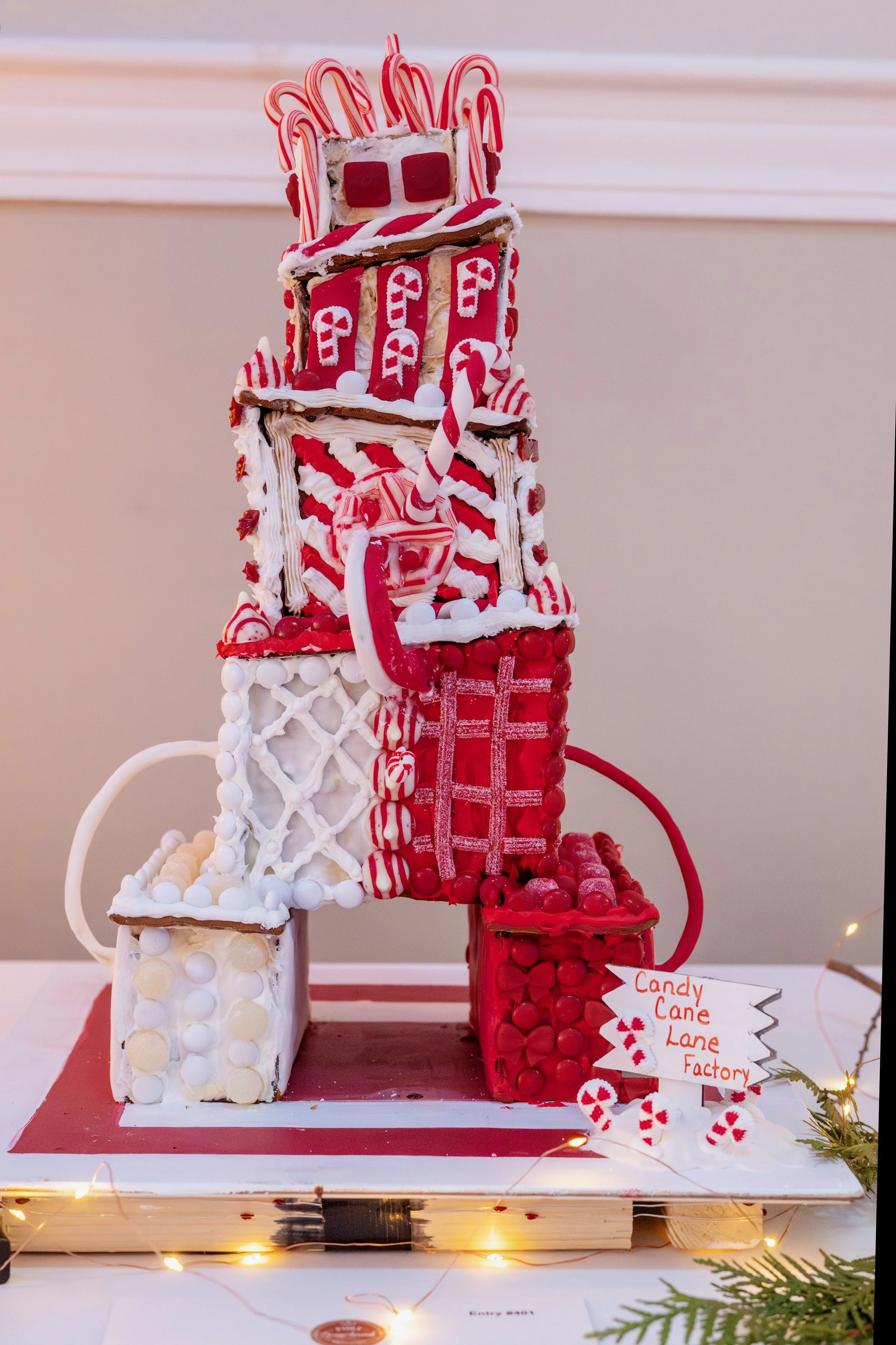 PGF 2025 credit Menka Belgal Photography (41).jpeg