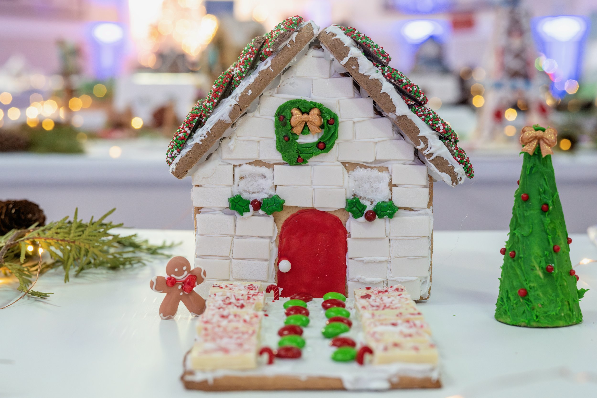 PGF 2025 credit Menka Belgal Photography (28).jpeg