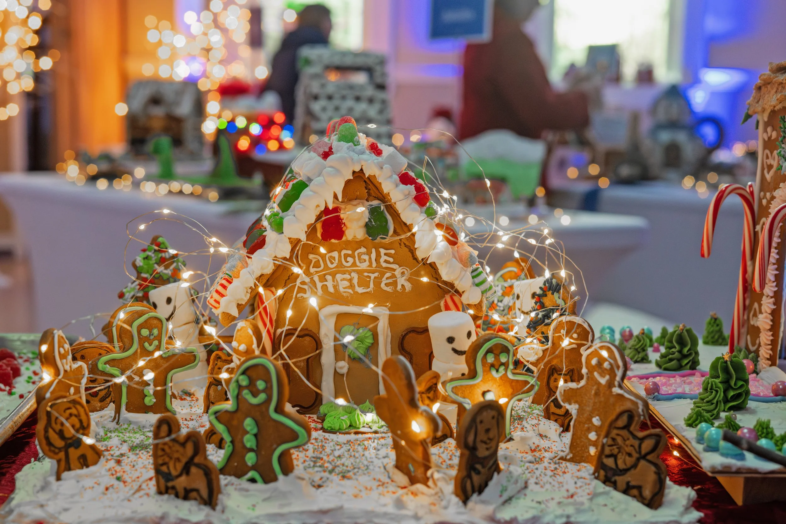 PGF 2025 credit Menka Belgal Photography (62).jpeg