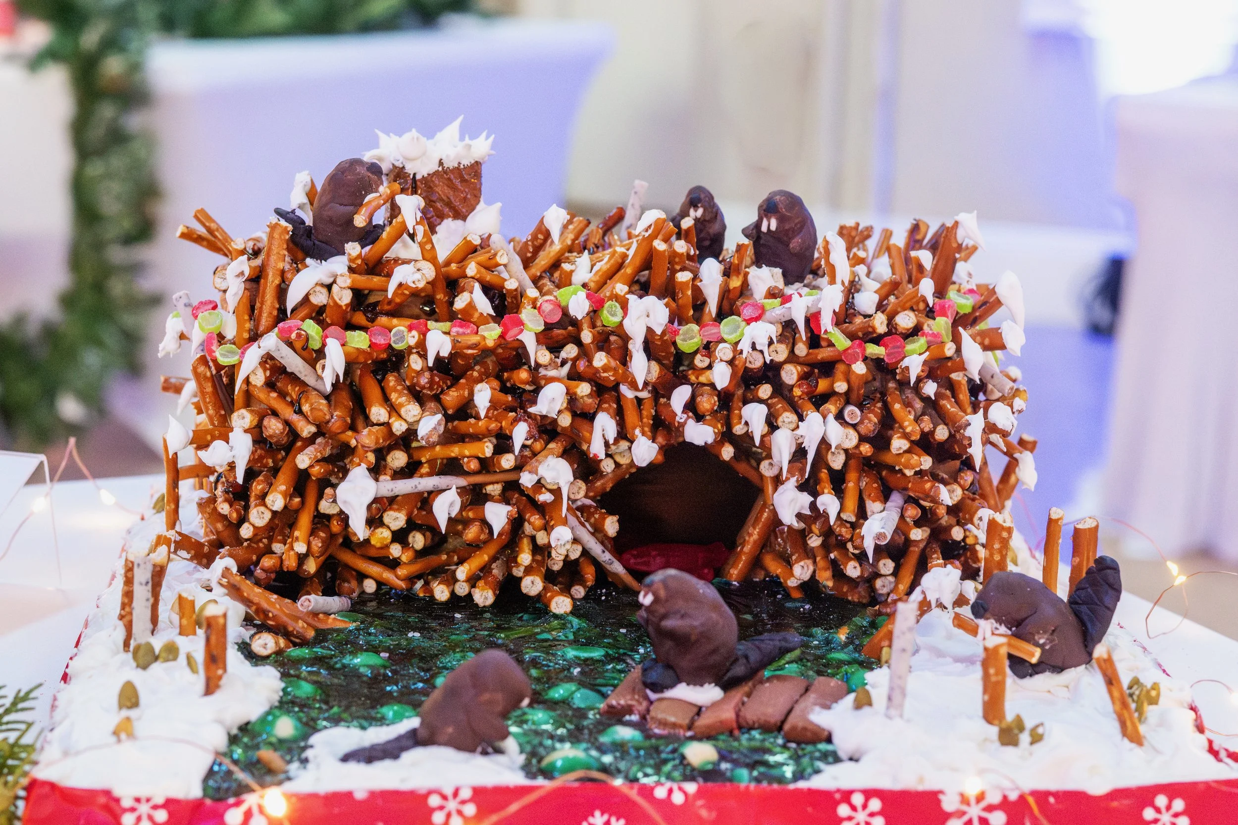 PGF 2025 credit Menka Belgal Photography (38).jpeg