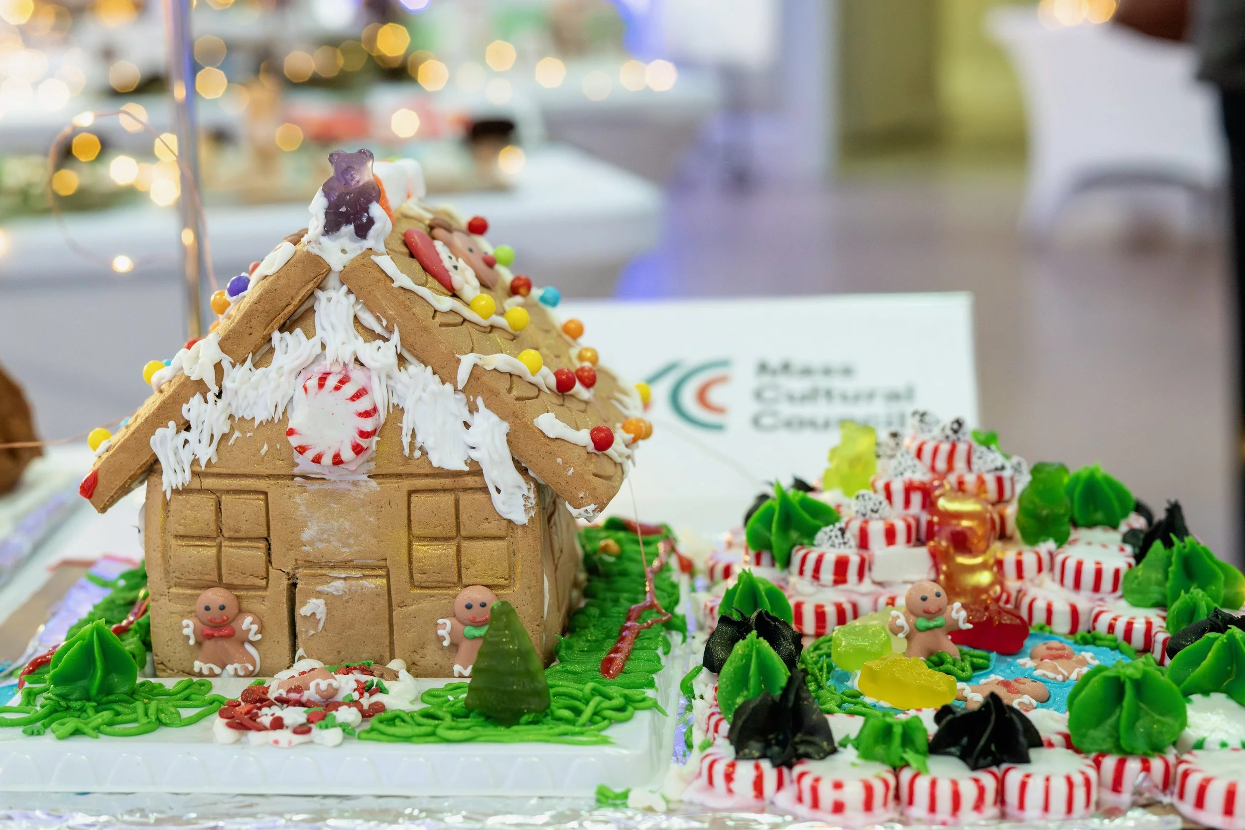 PGF 2025 credit Menka Belgal Photography (30).jpeg