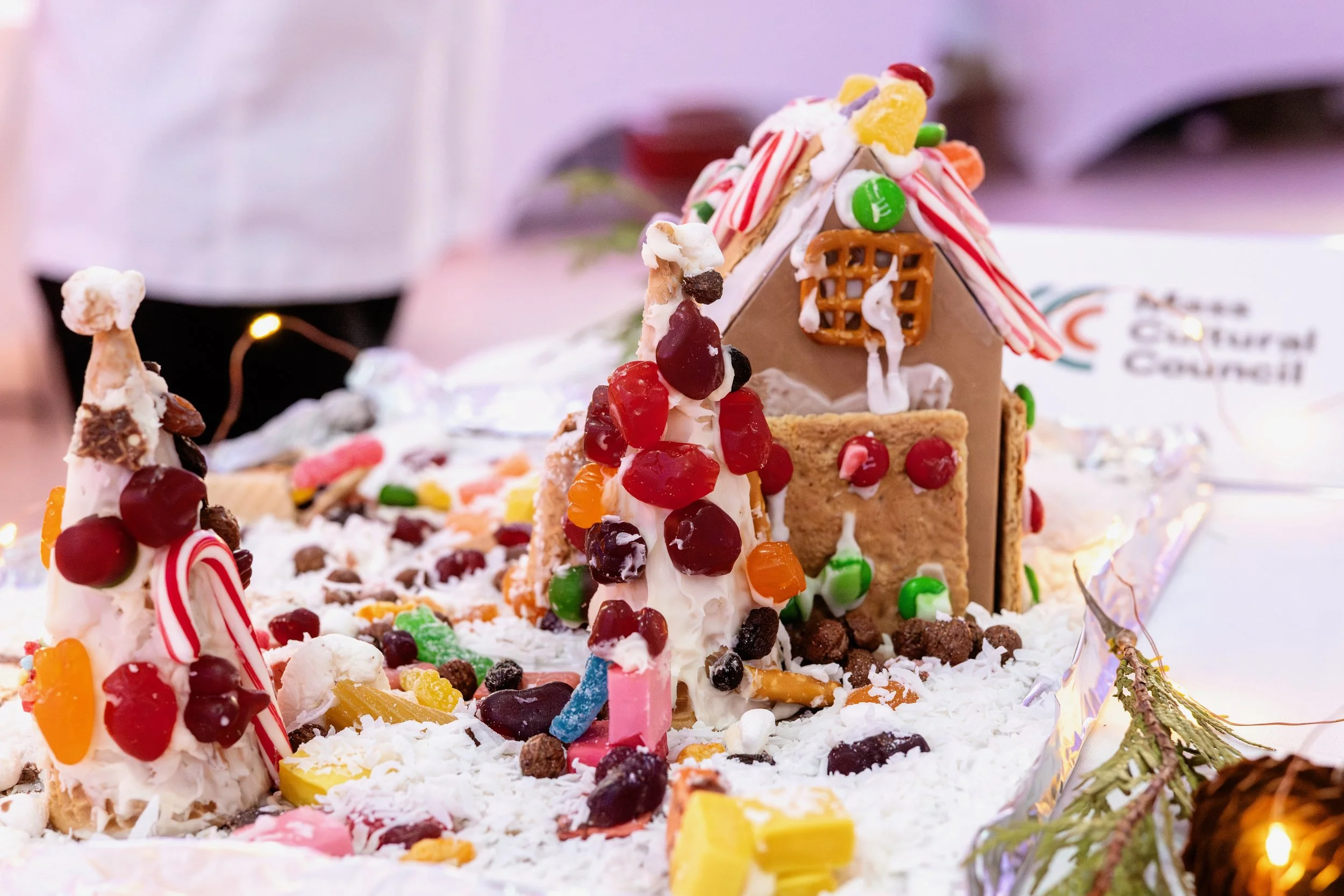 PGF 2025 credit Menka Belgal Photography (24).jpeg