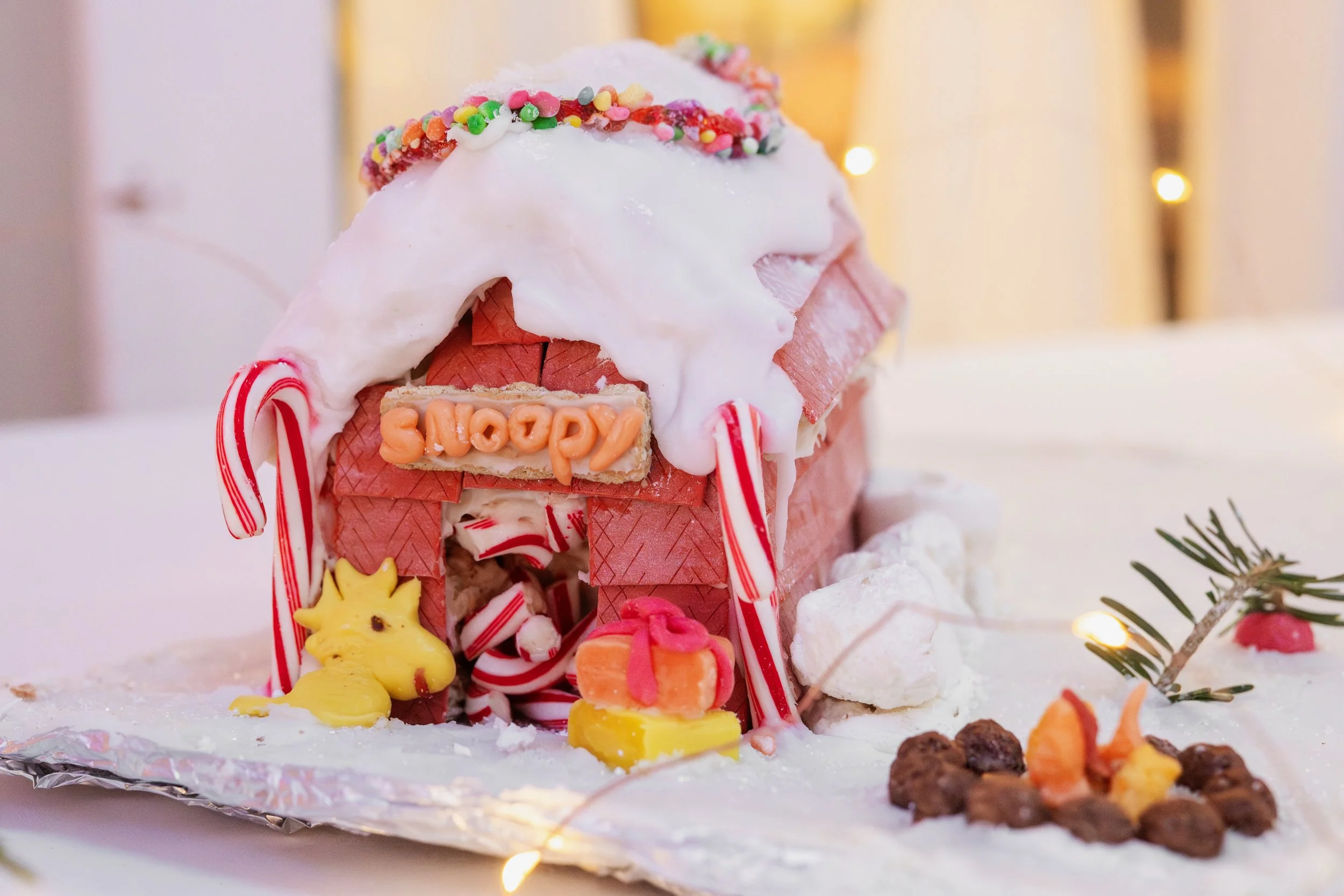 PGF 2025 credit Menka Belgal Photography (42).jpeg