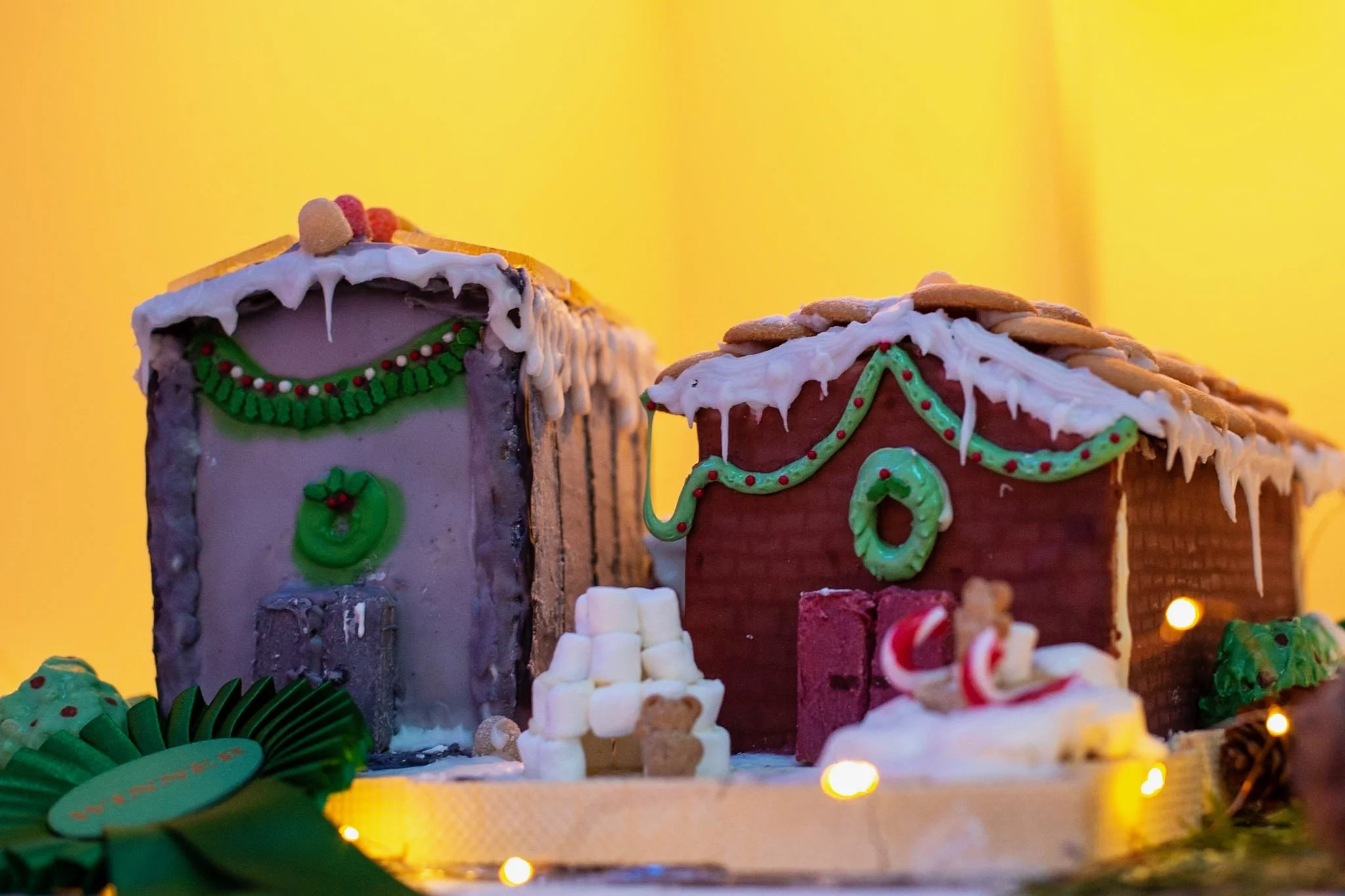 PGF 2025 credit Barbara Dowd (37).jpeg