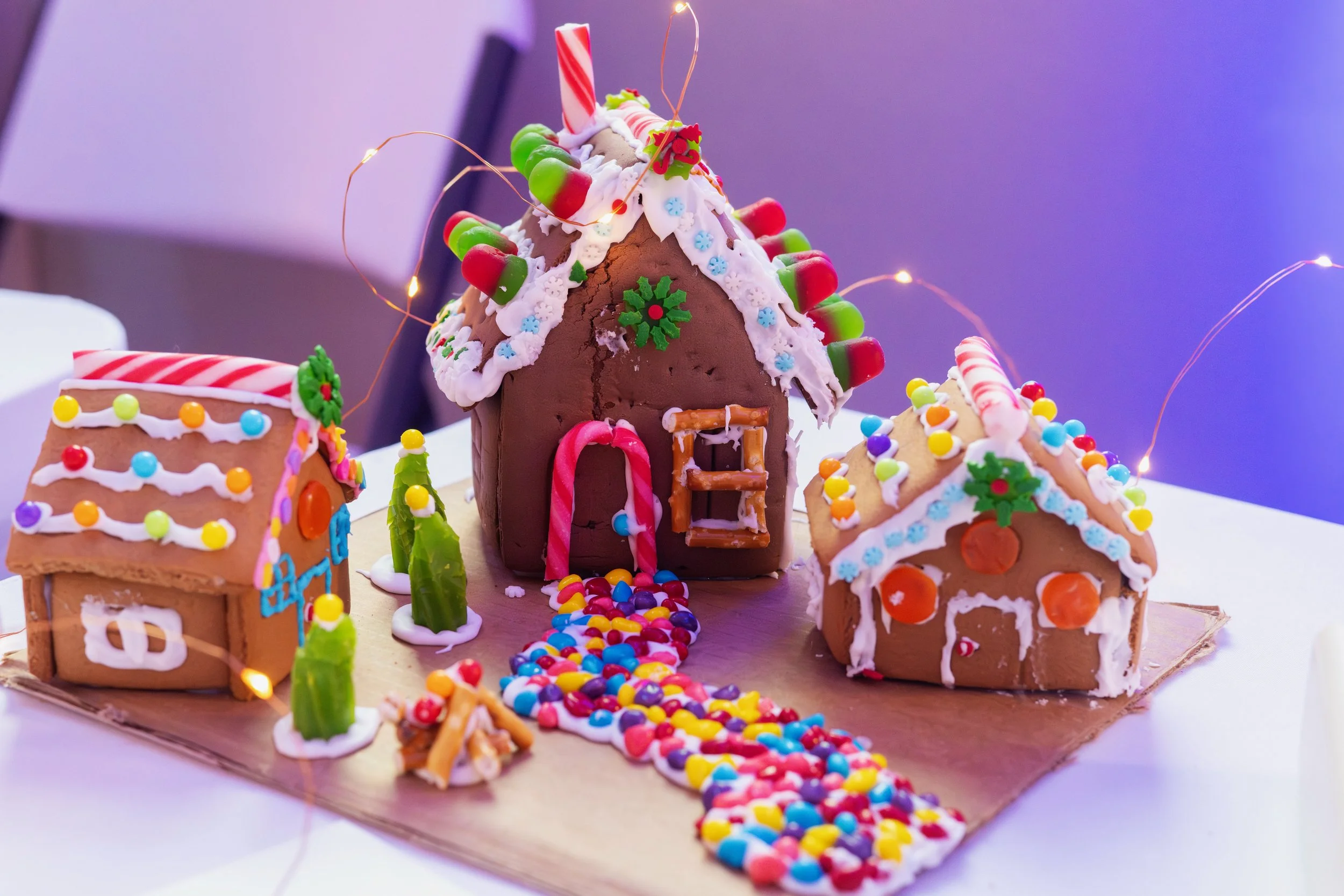 PGF 2025 credit Menka Belgal Photography (32).jpeg