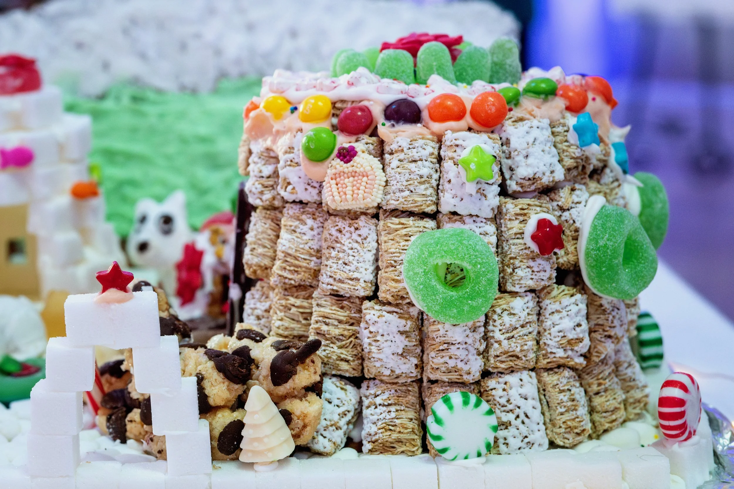 PGF 2025 credit Menka Belgal Photography (16).jpeg