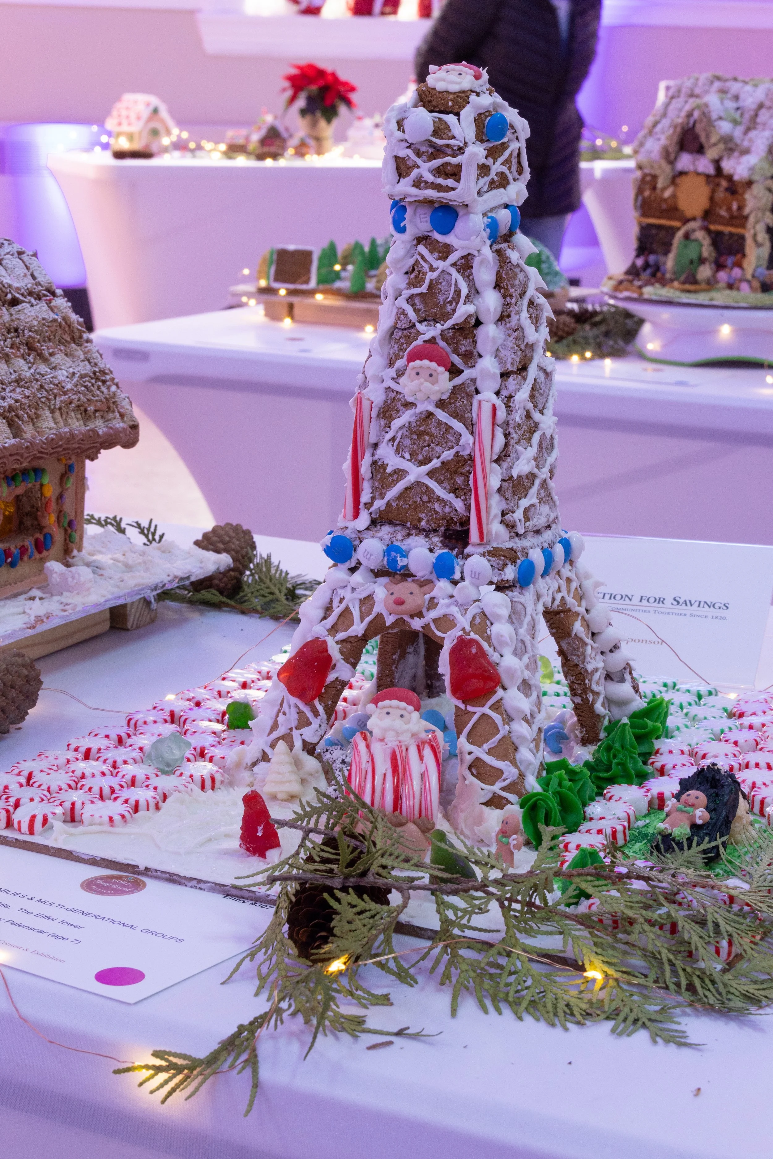 %22The Eiffel Tower%22 PGF 2025 credit copyright Kevin A. Latady.jpeg