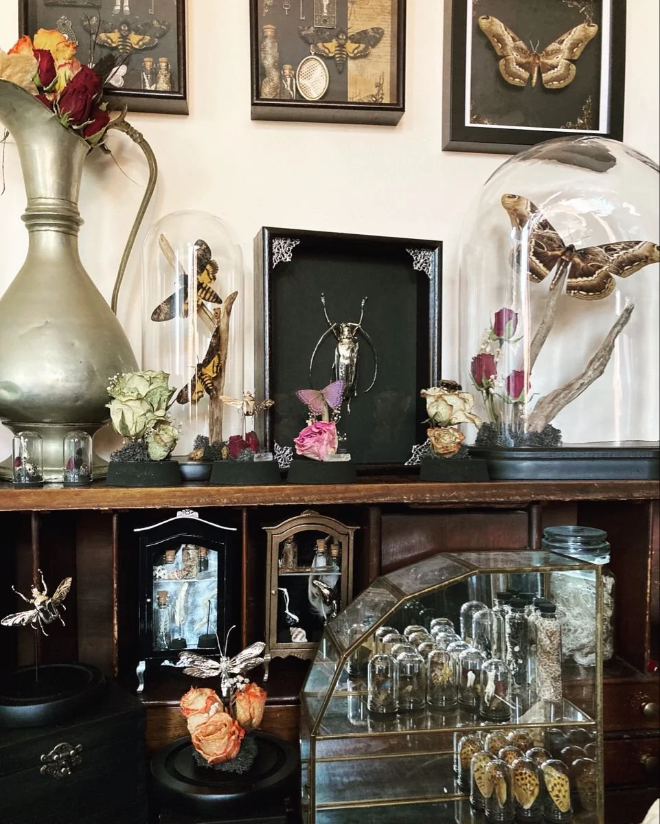 What Is Dark Academia All About? — interior styling detail 4 for interior design enthusiasts