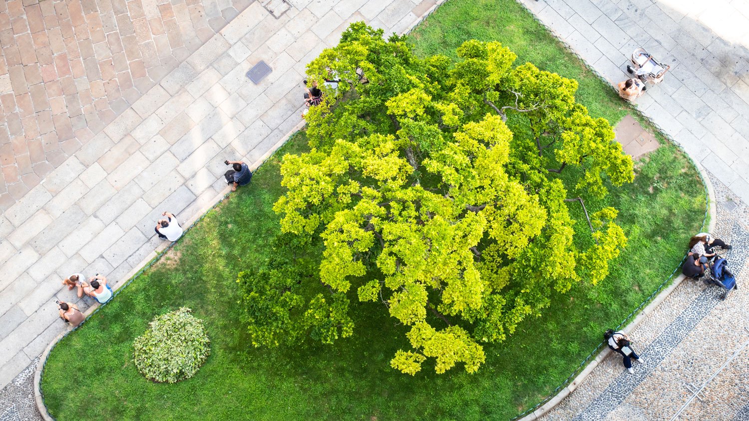 Four Ways Pocket Parks Support Economic Development