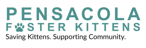 Pensacola Foster Kittens