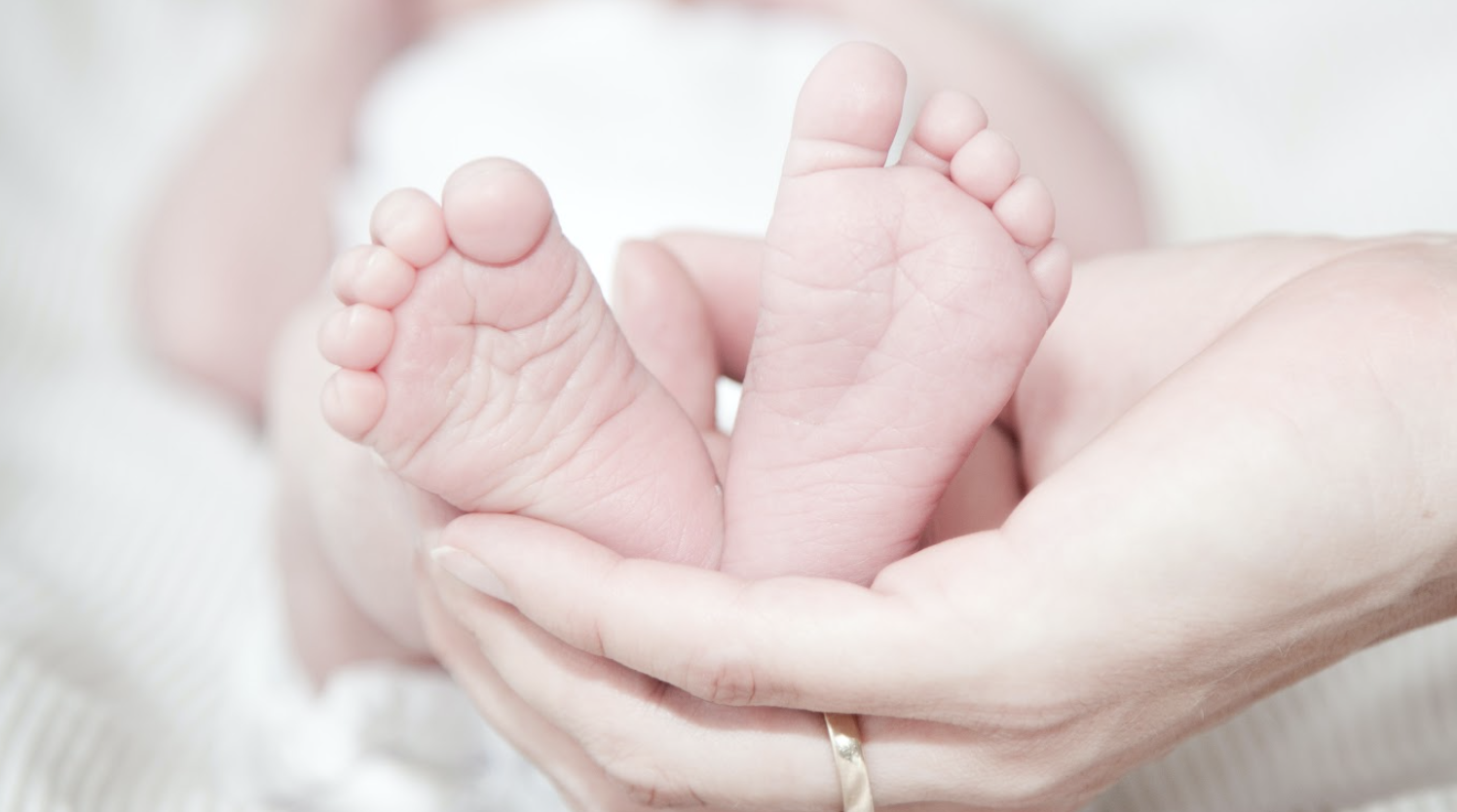 Surrogacy 101: A Step-by-Step Guide for Intended Parents