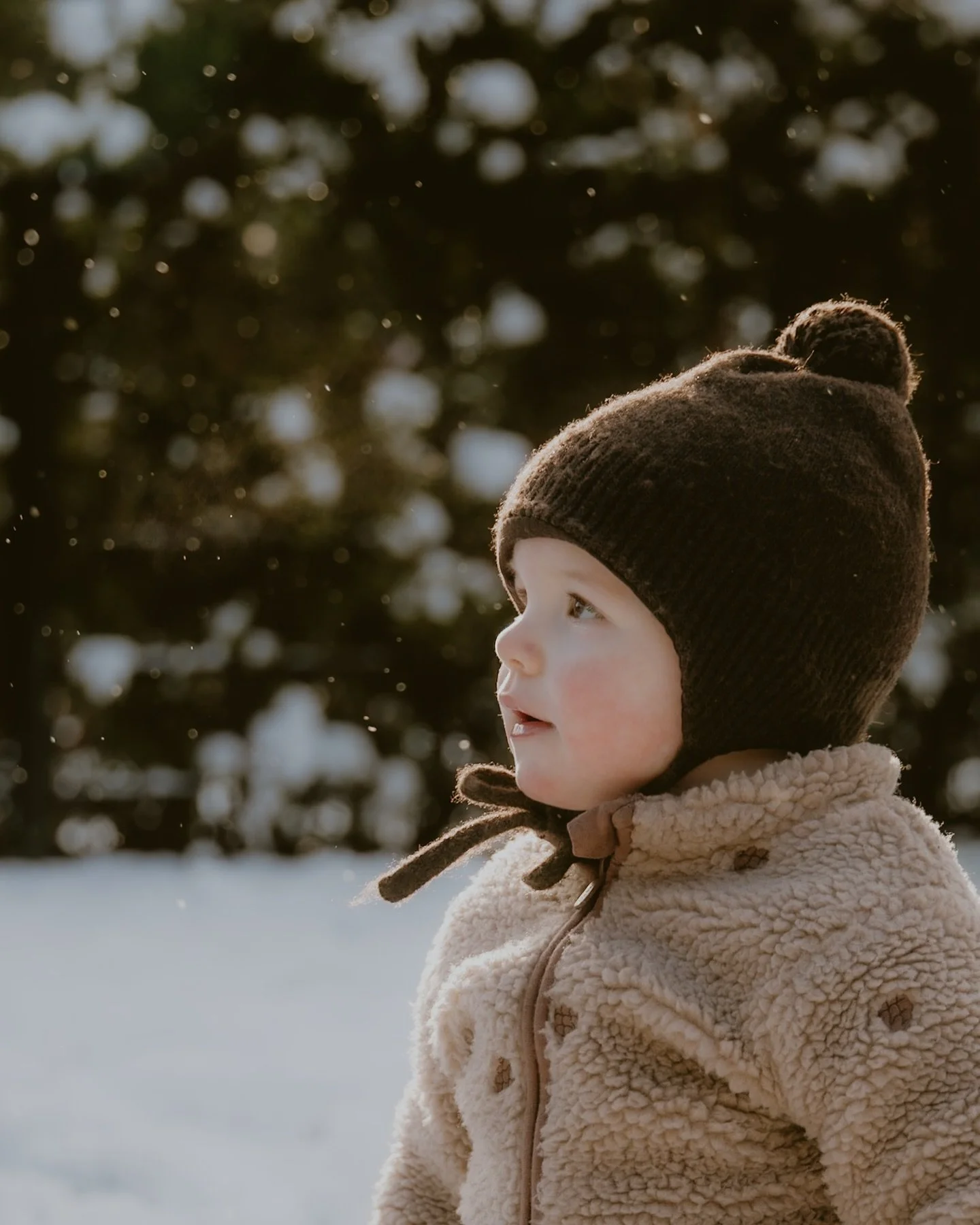 Eerste sneeuw voor Juda ❄️🤍