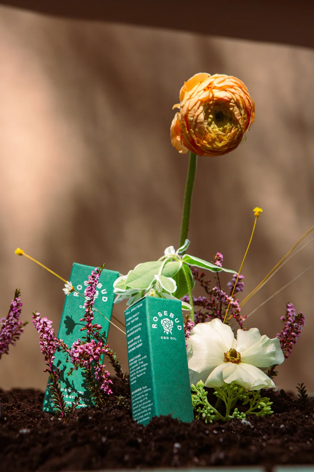 Conceptual Packaging_08312021_Langdon_0007.jpg