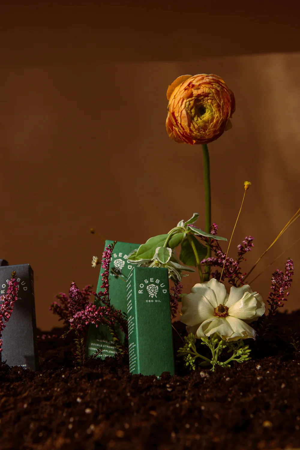 Conceptual Packaging_08312021_Langdon_0009.jpg