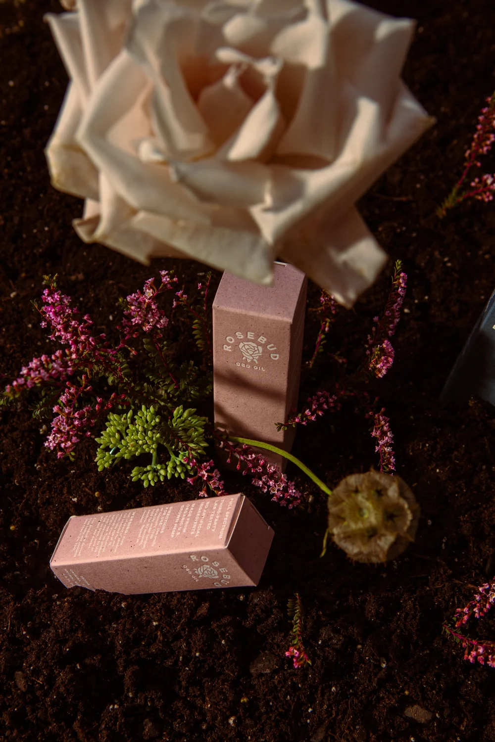 Conceptual Packaging_08312021_Langdon_0010.jpg